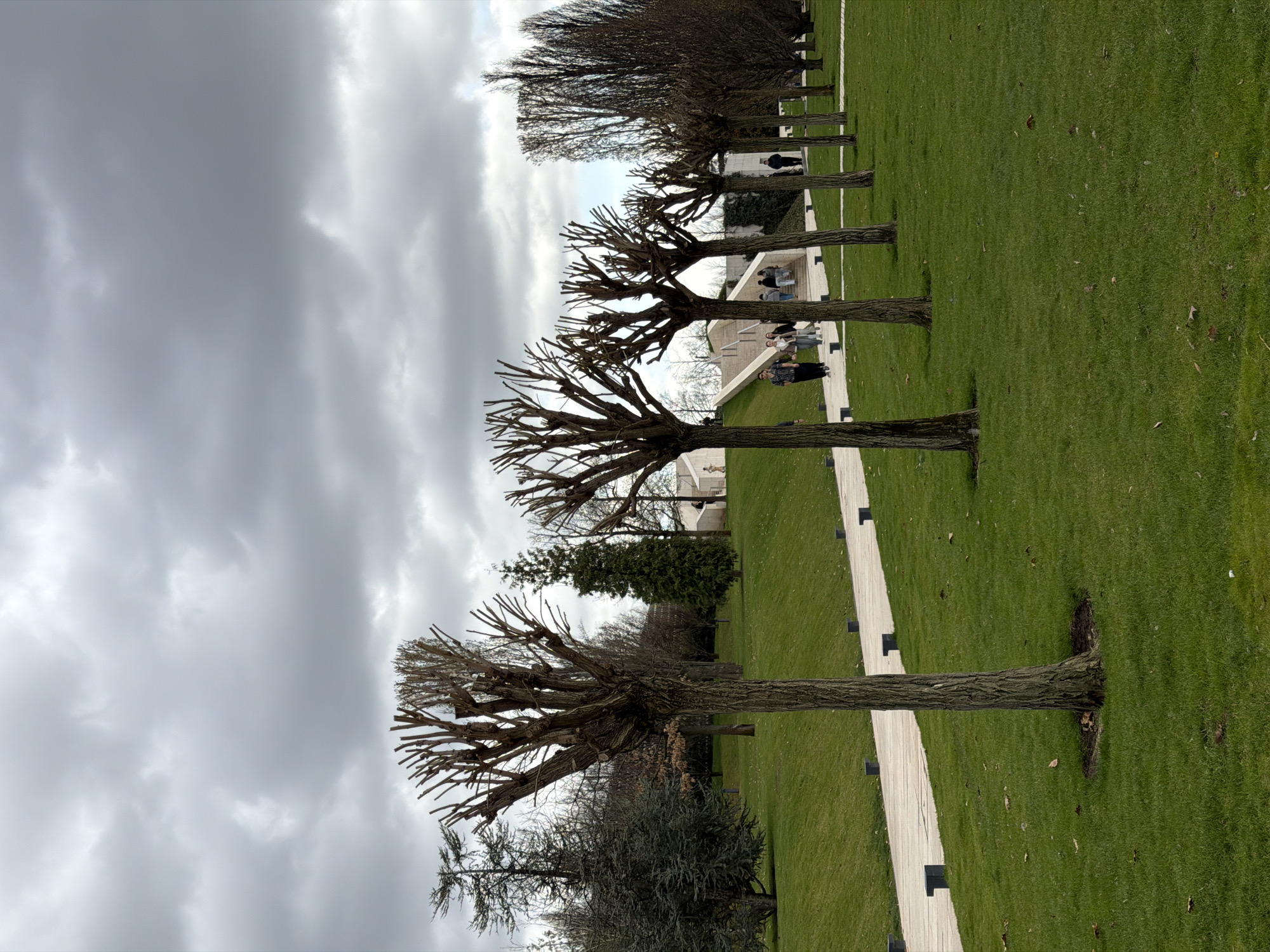 The image shows a row of pollarded trees in a park setting. The trees are bare, with only pruned branches visible. A strip of grass borders them. Parallel to the trees is a light-colored pathway with small, dark posts. In the background, there are other trees, some buildings, and people walking. The sky is overcast with grey clouds. The location is not specified as Krasnodar, Russia, nor can it be confirmed from this image.