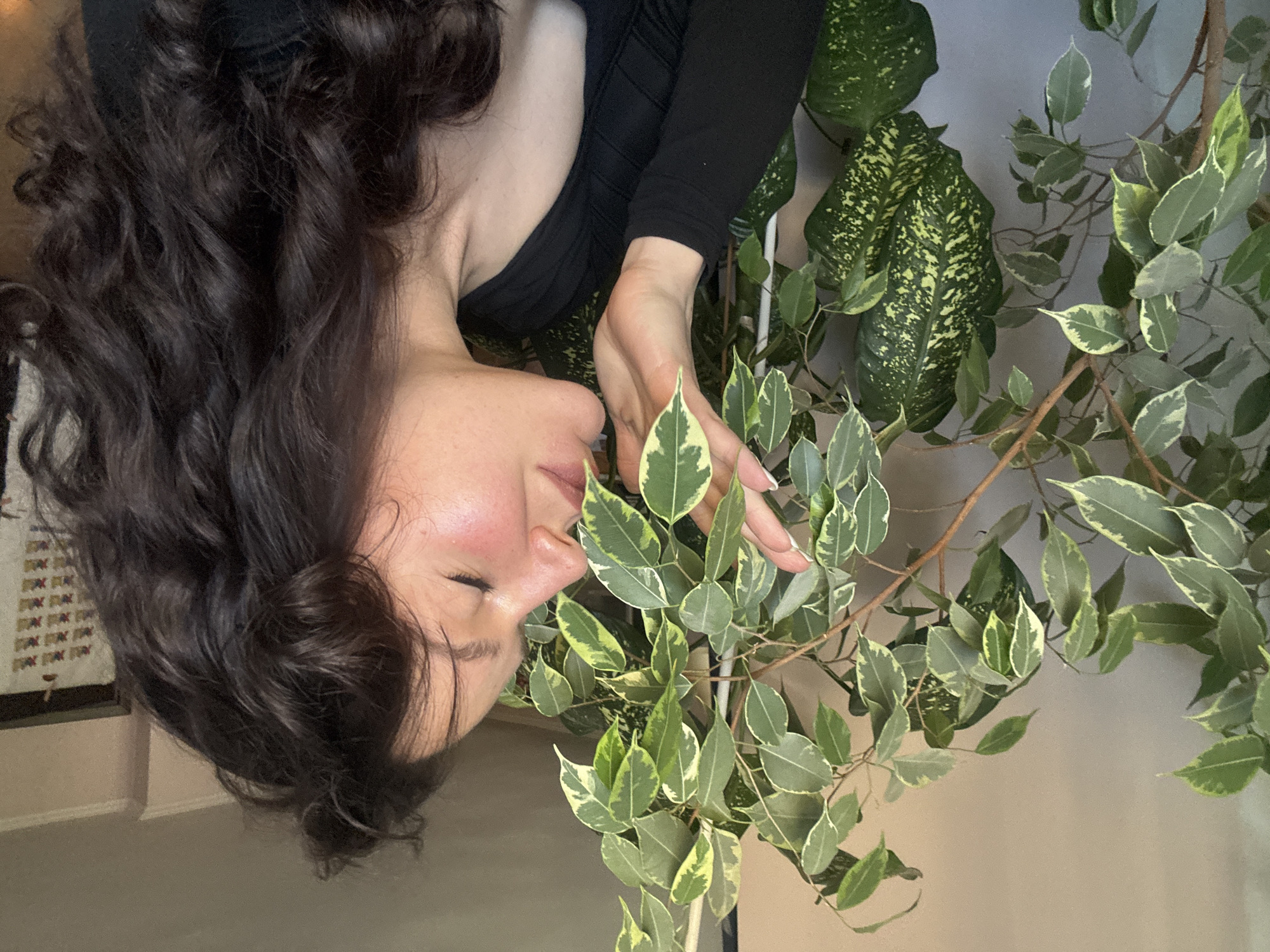 A woman with dark, wavy hair and closed eyes is positioned next to a plant. She is wearing a black top. Her right hand is gently touching the plant's leaves. The plant is a combination of a Dieffenbachia and a Ficus benjamina variegata. The background appears to be a wall. There is no evidence in the image to confirm the location is Burgas, Bulgaria.