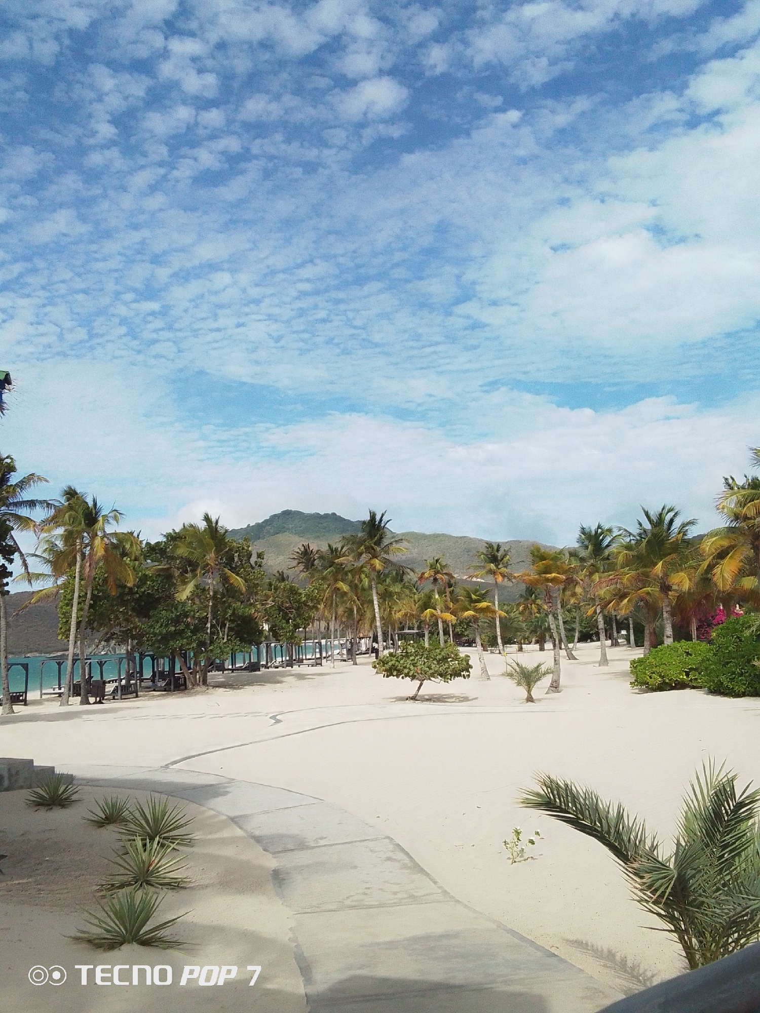 This is an exterior shot of a beach in Pedro González, Venezuela, on a sunny day with a blue sky filled with scattered clouds. The foreground features a concrete path flanked by sandy areas with small agave plants on one side and a palm tree on the other. The midground shows a white sandy beach lined with numerous palm trees. In the background, a mountainous landscape is visible. The beach also includes structures like sun shelters. A "TECNO POP 7" watermark is visible in the bottom left corner.