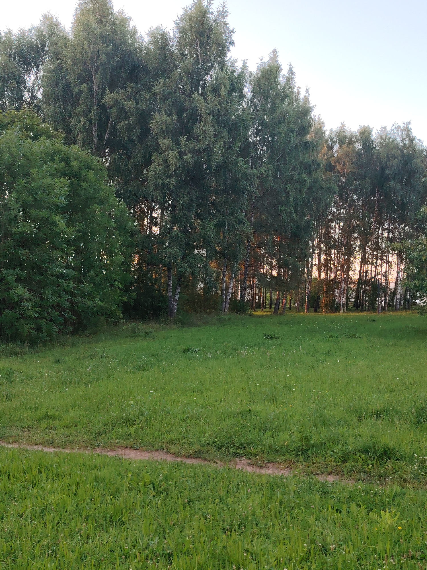 An outdoor scene captures a sun-drenched meadow in Konakovo, Russia, bordered by a dense line of tall trees. A narrow, winding dirt path cuts across the foreground of the grassy field, which is dotted with small white wildflowers. The trees, primarily birch trees with their distinctive white bark, form a thick wall of foliage. Sunlight filters through the branches, illuminating the scene with a warm glow, suggesting it is either sunrise or sunset. The sky above is a clear, pale blue. No people or animals are visible in the frame.