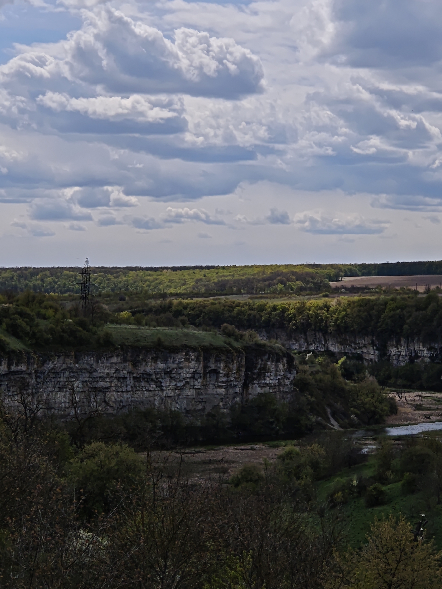 This landscape photograph captures a wide view of a deep river canyon, likely the Smotrych River Canyon in Kamianets-Podilskyi, Ukraine. The scene features prominent, layered grey rock cliffs forming the steep sides of the gorge, partially covered by dense green and brownish-green vegetation, including numerous trees and shrubs.
At the bottom of the canyon, a winding river or stream with calm, reflective water is visible. Above the cliffs, the landscape extends into a plateau covered with more trees and agricultural fields in the far background. A tall, dark metal electricity pylon stands on the plateau to the left of the image, marking a point of human infrastructure within the natural expanse.
The sky is overcast, dominated by a vast expanse of large, fluffy white and grey cumulus clouds. The lighting suggests it is daytime, possibly late morning or early afternoon, with diffuse light filtering through the clouds. No people are visible, and the scene conveys a sense of natural grandeur and tranquility. There is no visible text in the image.