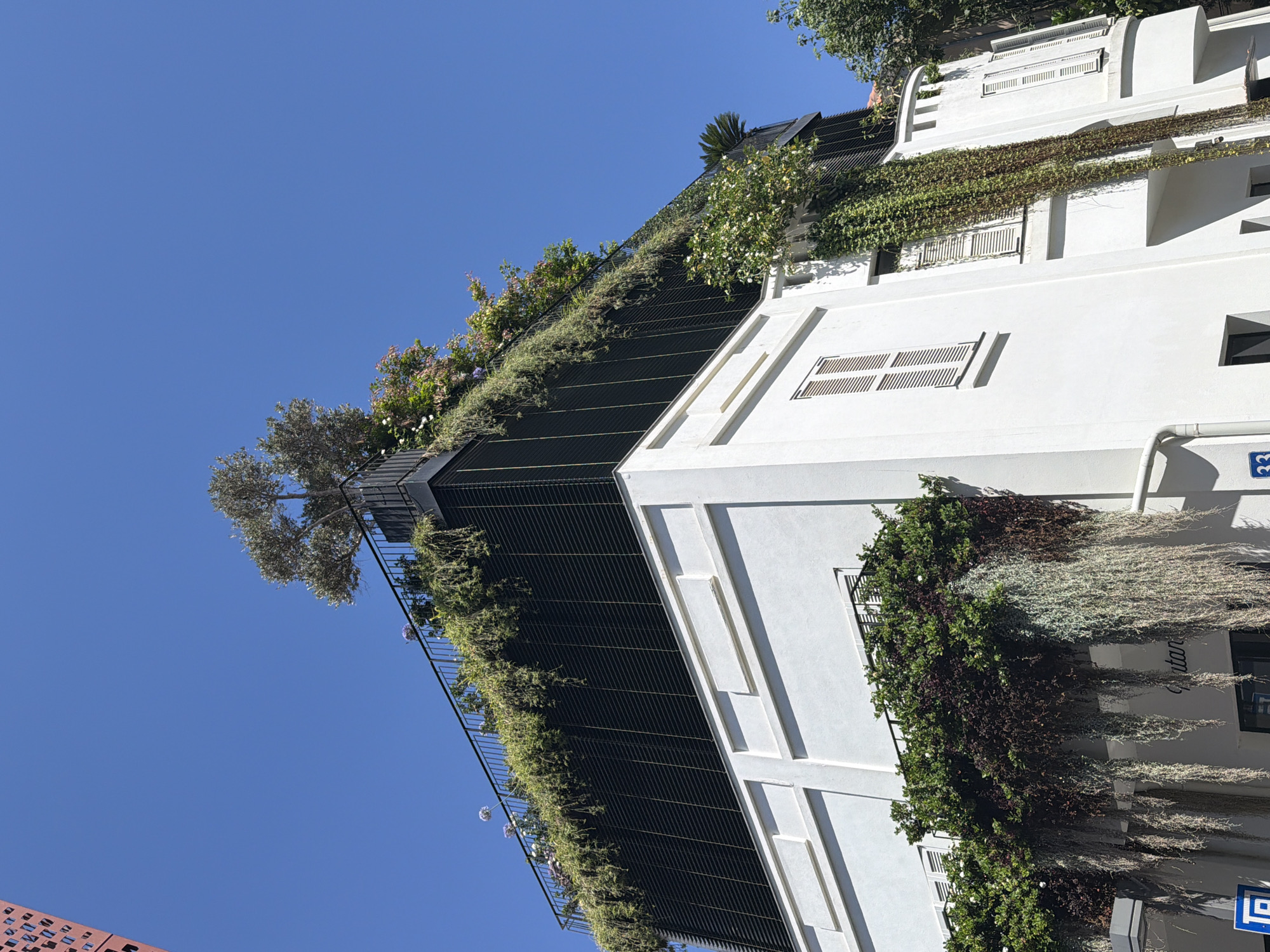 This is a low-angle shot of a modern white building in Tel Aviv, Israel, under a clear blue sky. The building features multiple levels with white stucco walls and shuttered windows. The upper levels are adorned with extensive greenery, including a rooftop garden with a mature tree and cascading plants. A dark, slatted facade covers the upper portion of the building, contrasting with the white lower levels. The building appears to be a commercial establishment, with the partial word "Shtan..." visible on the lower facade, suggesting a business name. Several plants hang down from balconies and the upper levels, creating a lush, vertical garden effect. A blue street sign with the number "33" is visible on the lower left. Trees and other buildings are partially visible in the background.