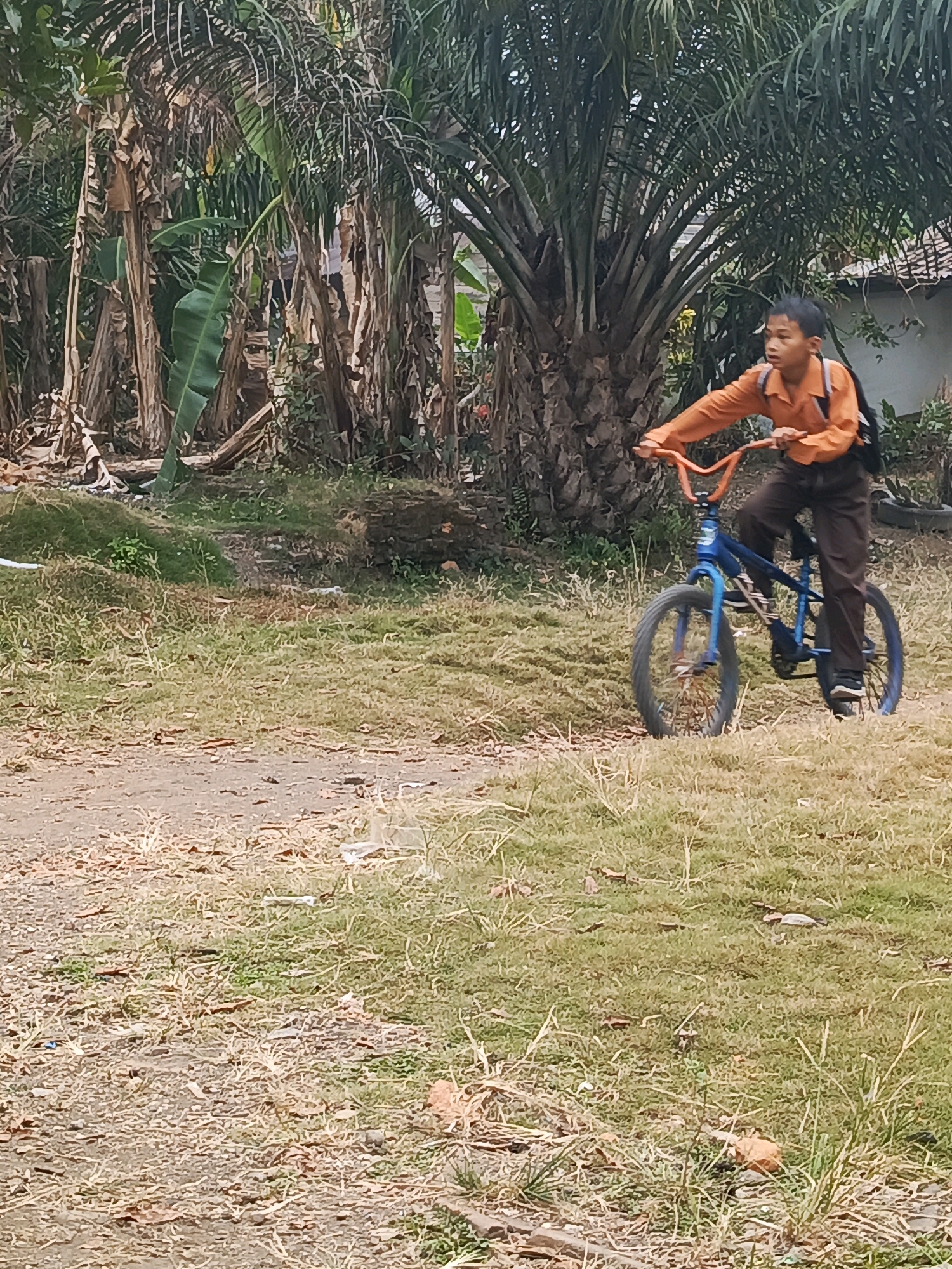 A young boy, likely a student given his orange shirt and brown trousers, rides a blue bicycle with an orange handlebar in an outdoor setting. He is looking to his right with a focused expression. A black backpack is visible on his shoulders. The bicycle has a dark tire on the front and a black tire on the rear. The boy is on a dirt path bordered by dry grass. Behind him, a dense arrangement of palm trees and banana plants creates a natural backdrop, with some dry fronds and green leaves visible. The ground is covered with a mixture of dry grass, leaves, and dirt. In the far background, part of a building with a tiled roof can be seen. The lighting suggests it is daytime, possibly with filtered sunlight due to the foliage. The overall environment appears rural or semi-rural.