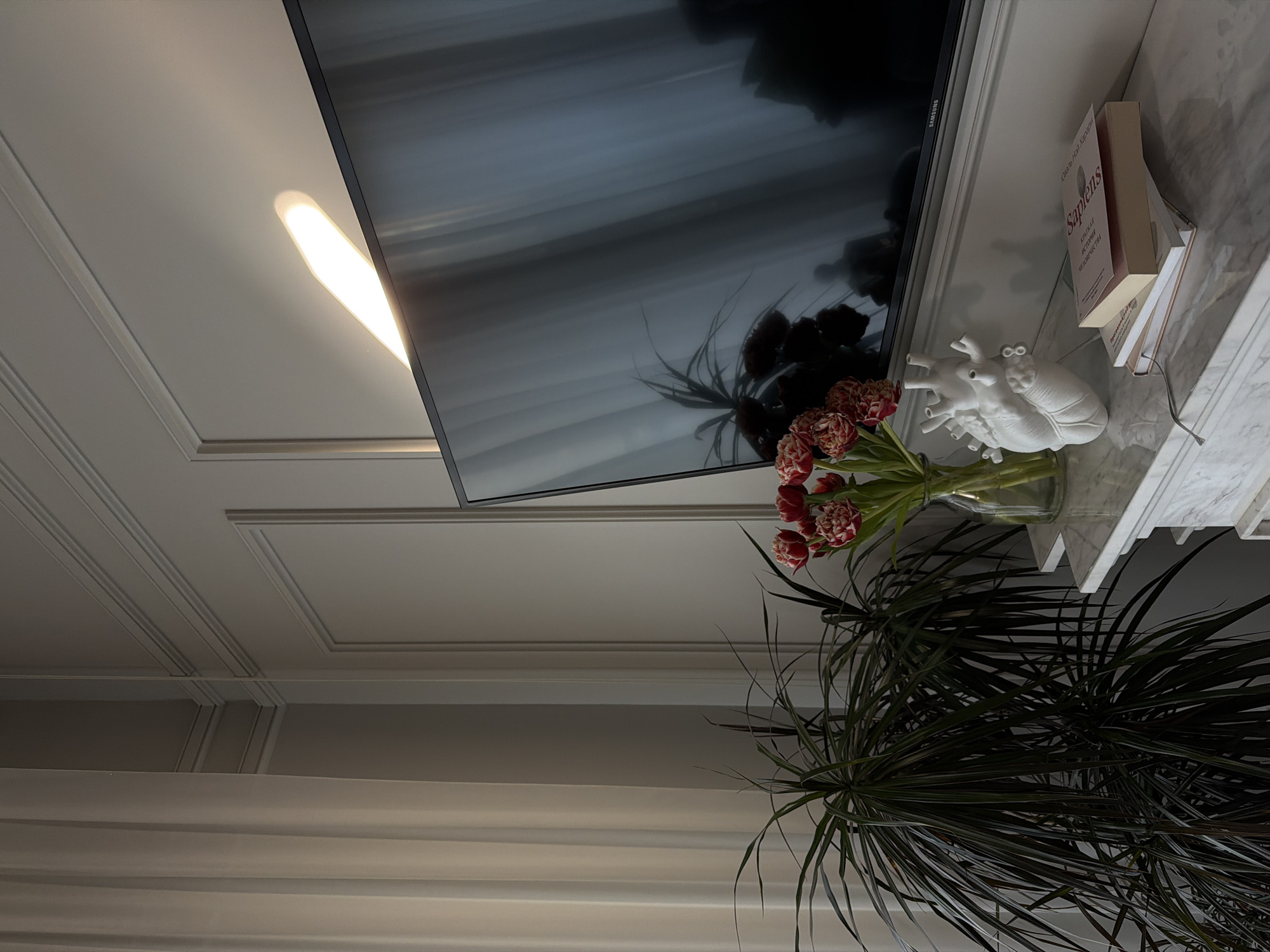 The image displays an interior room, likely a residential living space, located in Moscow, Russia. The setting features a light gray wall adorned with classical molding and wainscoting. A large, dark-screened Samsung television is mounted centrally on this wall. To the left, a sheer, light-colored curtain covers a window, and a tall, multi-stemmed Dracaena plant stands on the floor beneath the window.
Below the television, a white marble mantelpiece serves as a display surface. From left to right on the mantelpiece are: a clear glass vase containing a bouquet of red and white variegated tulips; a white, anatomically detailed sculpture of a human heart; and a stack of three books. The top two books are identified as "Sapiens" by Yuval Noah Harari and its Russian translation, "Краткая история человечества" (A Brief History of Humankind). A thin grey cable is visible on the mantelpiece near the books.
A prominent, elongated diagonal reflection of a light source, possibly sunlight or an interior fixture, is cast across the upper wall and the top portion of the television screen. The dark television screen reflects elements of the room, including the plant, curtains, and indistinct, dark silhouettes, which may represent individuals or objects within the room. No explicit human presence or direct actions are depicted.
