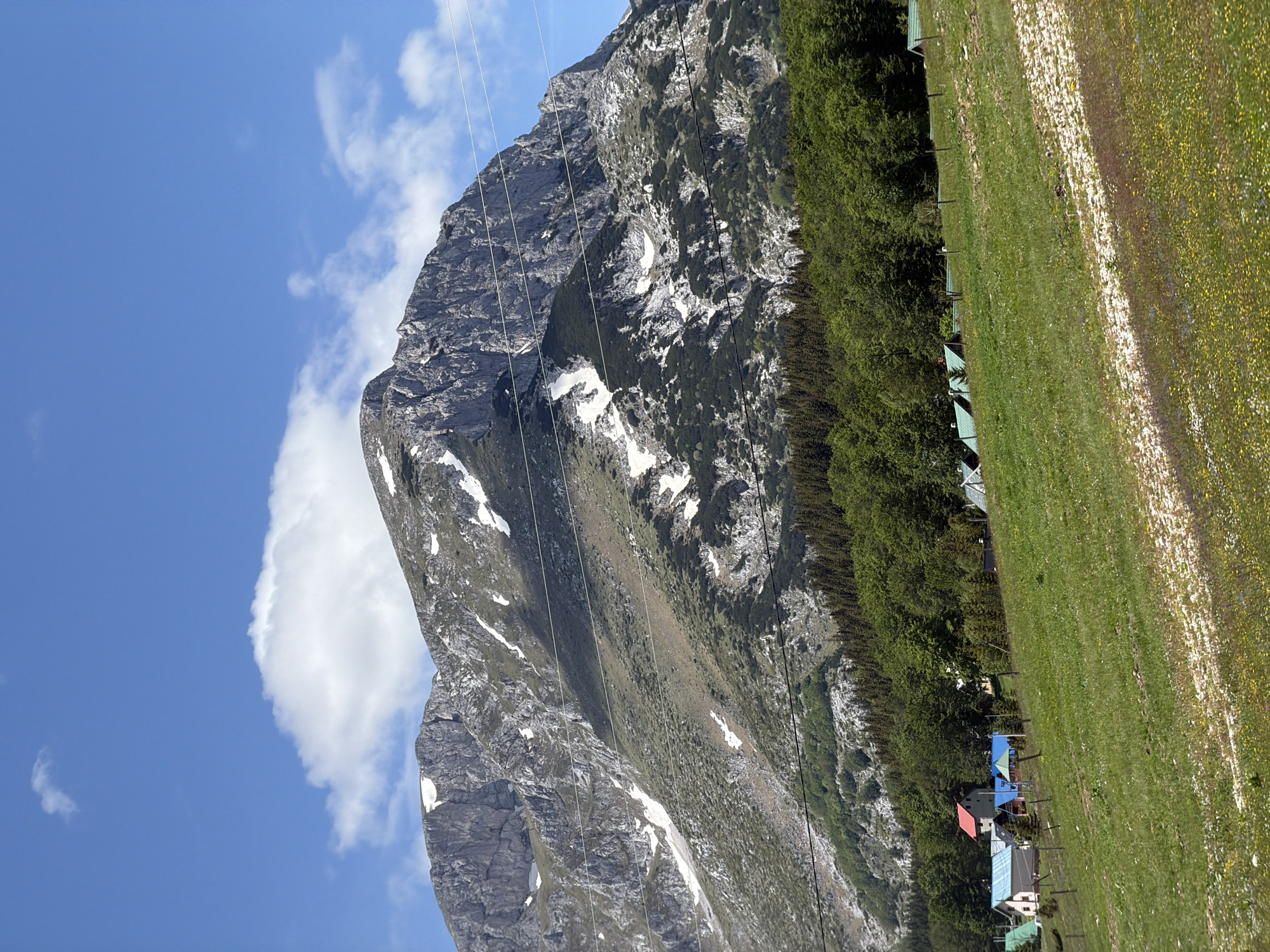 This image captures a wide-angle view of a mountainous landscape in Razvršje, Montenegro, under a clear blue sky with scattered white cumulus clouds. A large, rugged mountain, exhibiting exposed grey rock faces and numerous white snow patches, dominates the background. Dark green coniferous and deciduous trees line the lower slopes of the mountain and form a dense forest band across the midground. Approximately five parallel white cables, possibly power lines or ski lift lines, traverse the image diagonally from the upper right to the mid-left, passing in front of the mountain face.
In the midground, on the left side of the image, several small structures resembling cabins or houses are visible. One prominent building features a bright red sloped roof, while others exhibit light blue, grey, and green sloped roofs. Fences are present around these structures. Towards the right side of the midground, nestled near the forest edge, are multiple small, green-roofed structures, potentially tents or small bungalows.
The foreground is comprised of a vibrant green grassy field, gently sloping downwards from right to left. This field is dotted with numerous small yellow and white wildflowers. A distinct lighter-colored, possibly gravel or dirt, pathway or cleared strip runs diagonally through the field from the lower right quadrant towards the mid-left. No individuals are present in the scene. The overall lighting indicates daytime conditions, with shadows suggesting a direct sunlight source.