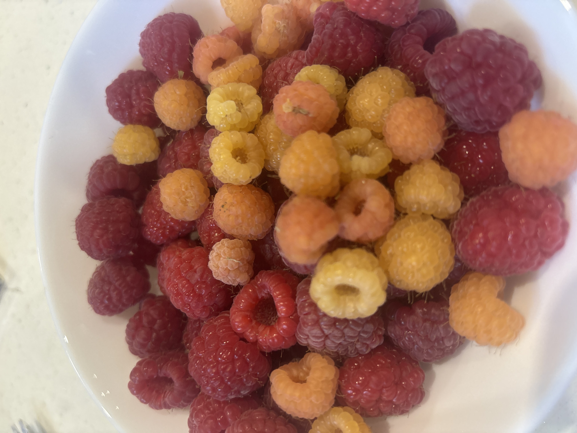 The image shows a close-up, overhead view of a white bowl filled with raspberries. The raspberries are a mix of deep red, bright red, yellow, and orange colors. They are plump and appear fresh, with many showing the characteristic bumpy texture of drupelets. The berries are piled high in the bowl, creating a vibrant and textured display. The background is blurred and appears to be a light-colored countertop or table. There is no indication of the city of Burgas, Bulgaria, or any specific location within it. The image focuses solely on the bowl of fruit.