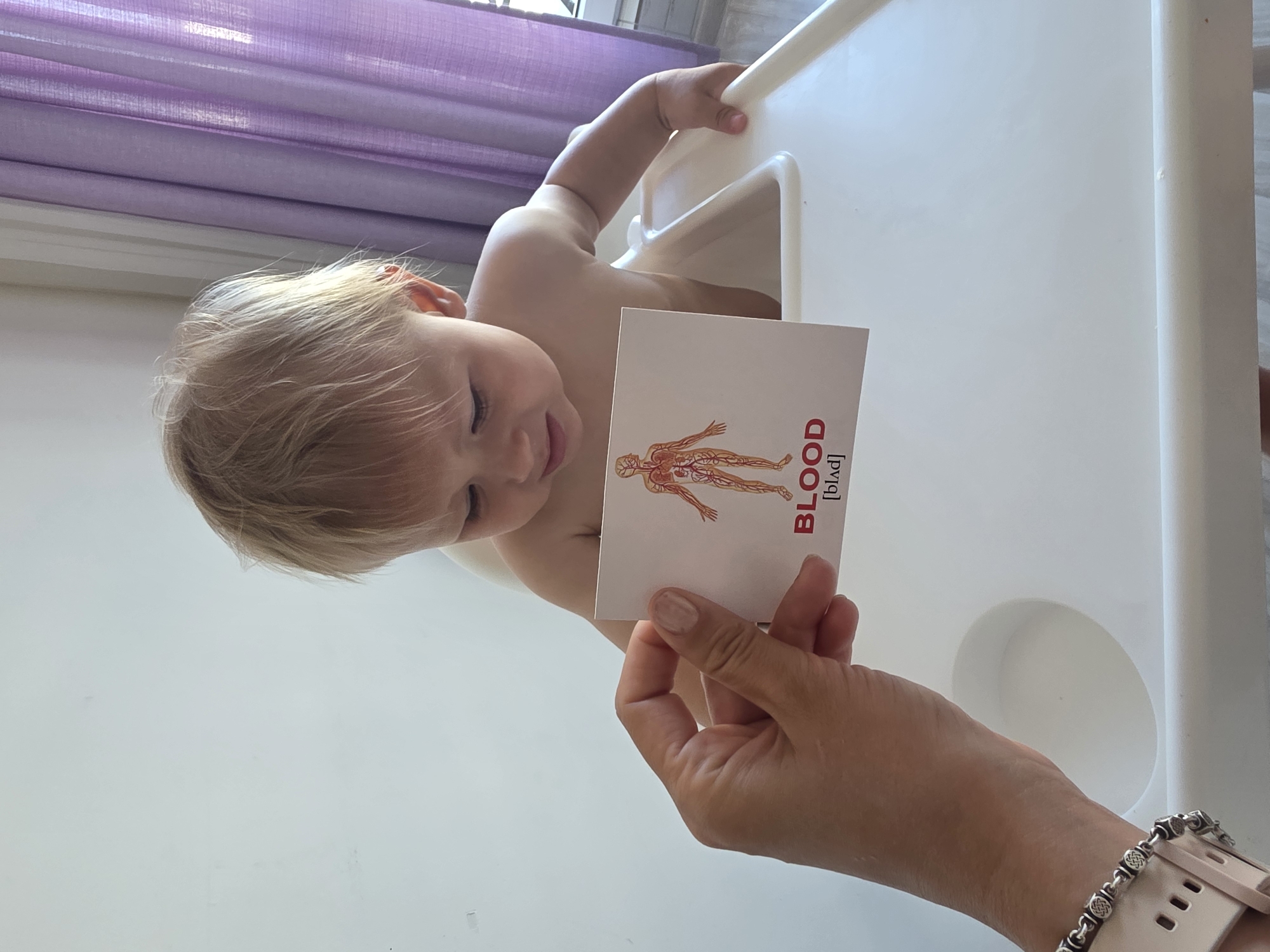 A baby is sitting in a high chair, looking down at a flashcard being held by an unseen person. The flashcard displays an anatomical illustration of the human circulatory system and the word "BLOOD" with its phonetic spelling below. The baby has blond hair and is shirtless. The high chair is white and sits near a window with sheer purple curtains. The background consists of a white wall. The scene appears to be indoors, likely in a home. There are no visible landmarks or indicators to suggest the location is in Sochi, Russia.