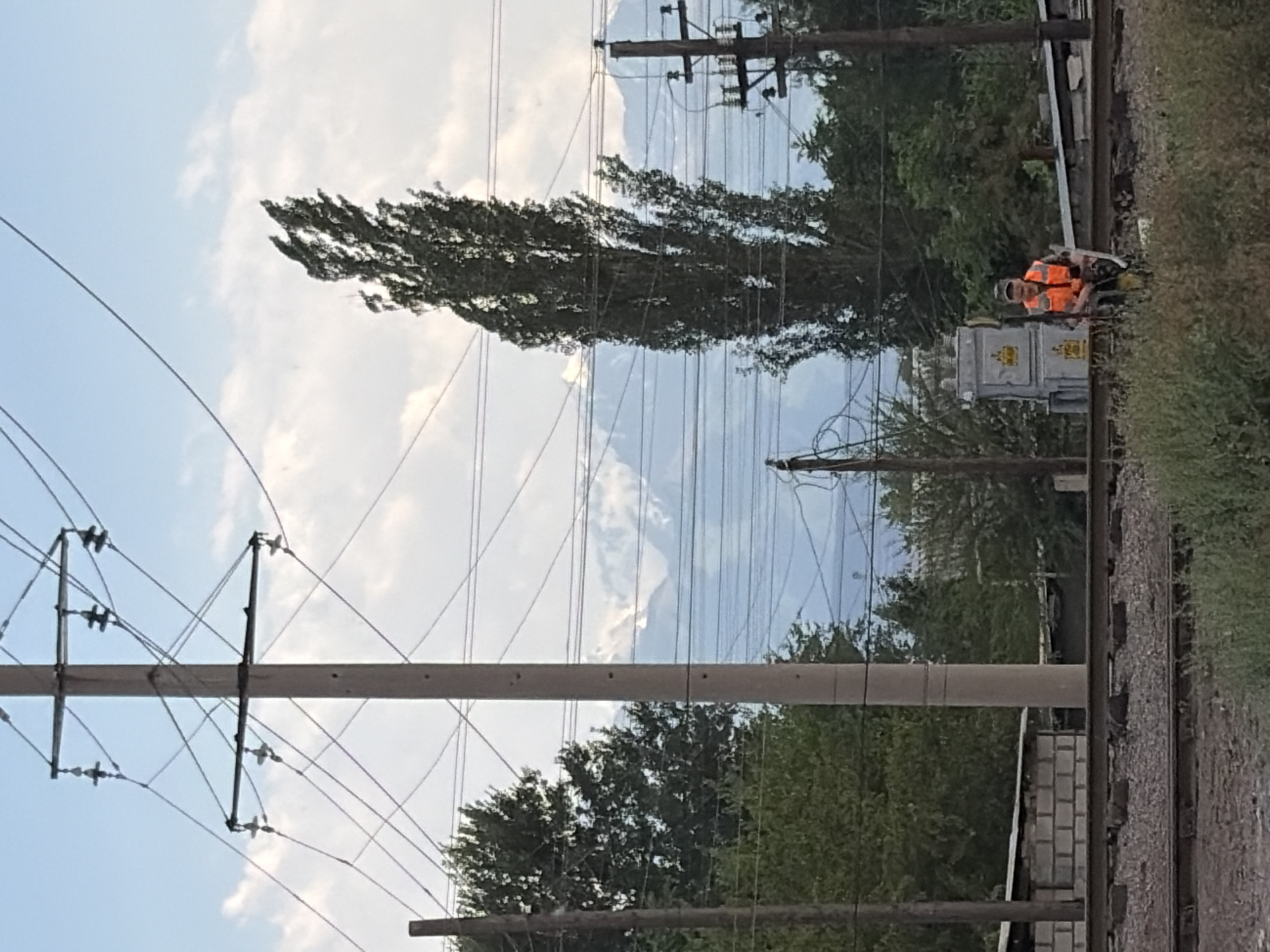 In Kant, Kyrgyzstan, a man wearing an orange high-visibility vest sits on the gravel beside a set of railway tracks. He is positioned near some tall, dark green vegetation and in front of a line of trees. In the background, a large, slender tree stands tall against a cloudy sky, and beyond that, snow-capped mountains are visible. The scene is also characterized by numerous overhead power lines supported by utility poles, which crisscross the frame.