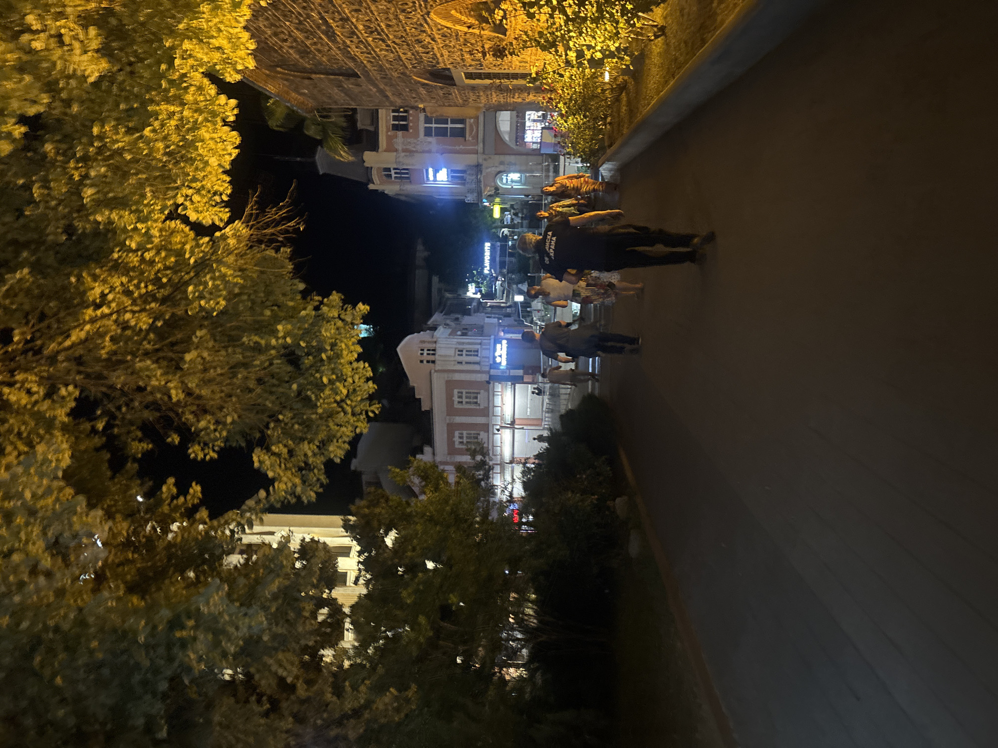 This is a night-time photograph of a street scene in Plovdiv, Bulgaria, likely in the Kapana district, known for its pedestrianized streets and lively atmosphere. The image captures a wide paved walkway, illuminated by streetlights and the warm glow from nearby buildings. On the right side of the walkway, a raised flower bed with bright yellow flowers is lit from below, creating a vibrant contrast against the dark night. Several people are walking along the path, appearing to be tourists or locals enjoying an evening stroll. One individual in the foreground, wearing a dark t-shirt with Cyrillic text that appears to read "ПОЛИЦІЯ УКРАЇНИ" (Ukrainian Police), is walking away from the camera. Buildings line the street on both sides, featuring a mix of architectural styles, some with illuminated shopfronts and signs. Trees with yellow-tinged foliage overhang parts of the scene, adding a natural element to the urban setting. The overall impression is one of a safe and active public space at night.