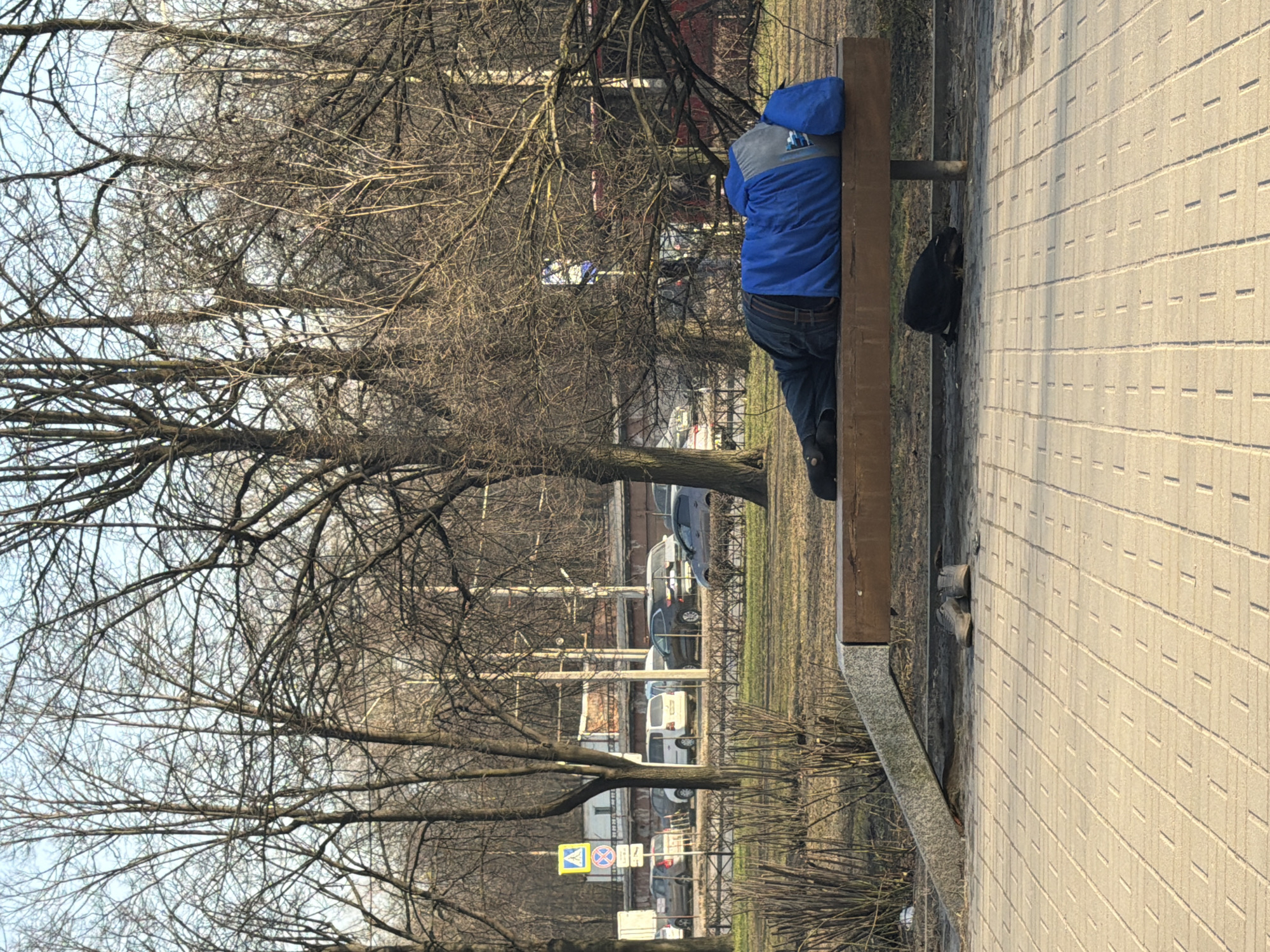 A person wearing a blue jacket is lying on a park bench with their head on a blue bag and a black backpack nearby. The person is also wearing blue jeans and black shoes. The bench is made of wood and has a metal support. The ground is paved with light-colored bricks. Behind the bench is a row of trees with bare branches and several parked cars. In the background is a street sign with a yellow diamond and a blue square. The location is likely in Saint Petersburg, Russia.