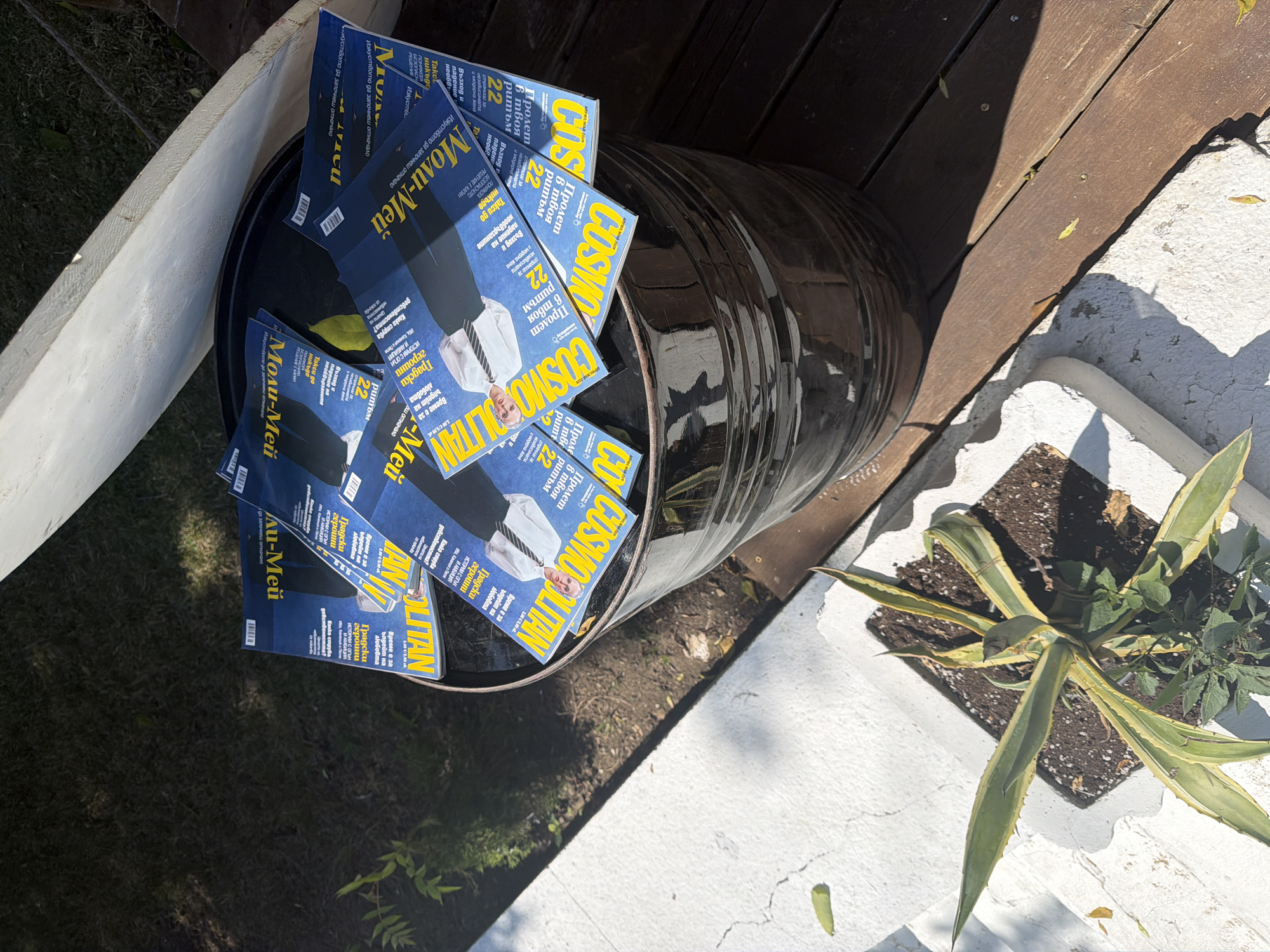 A pile of Cosmopolitan magazines is stacked inside a dark, metallic trash can outdoors. The magazines are predominantly blue and yellow, with some showing images of men in suits. The trash can is positioned on a wooden deck, next to a concrete planter containing a succulent plant and other greenery. The scene appears to be in a sunny outdoor environment, with shadows cast on the deck and ground. The location is identified as Primorsko, Bulgaria.