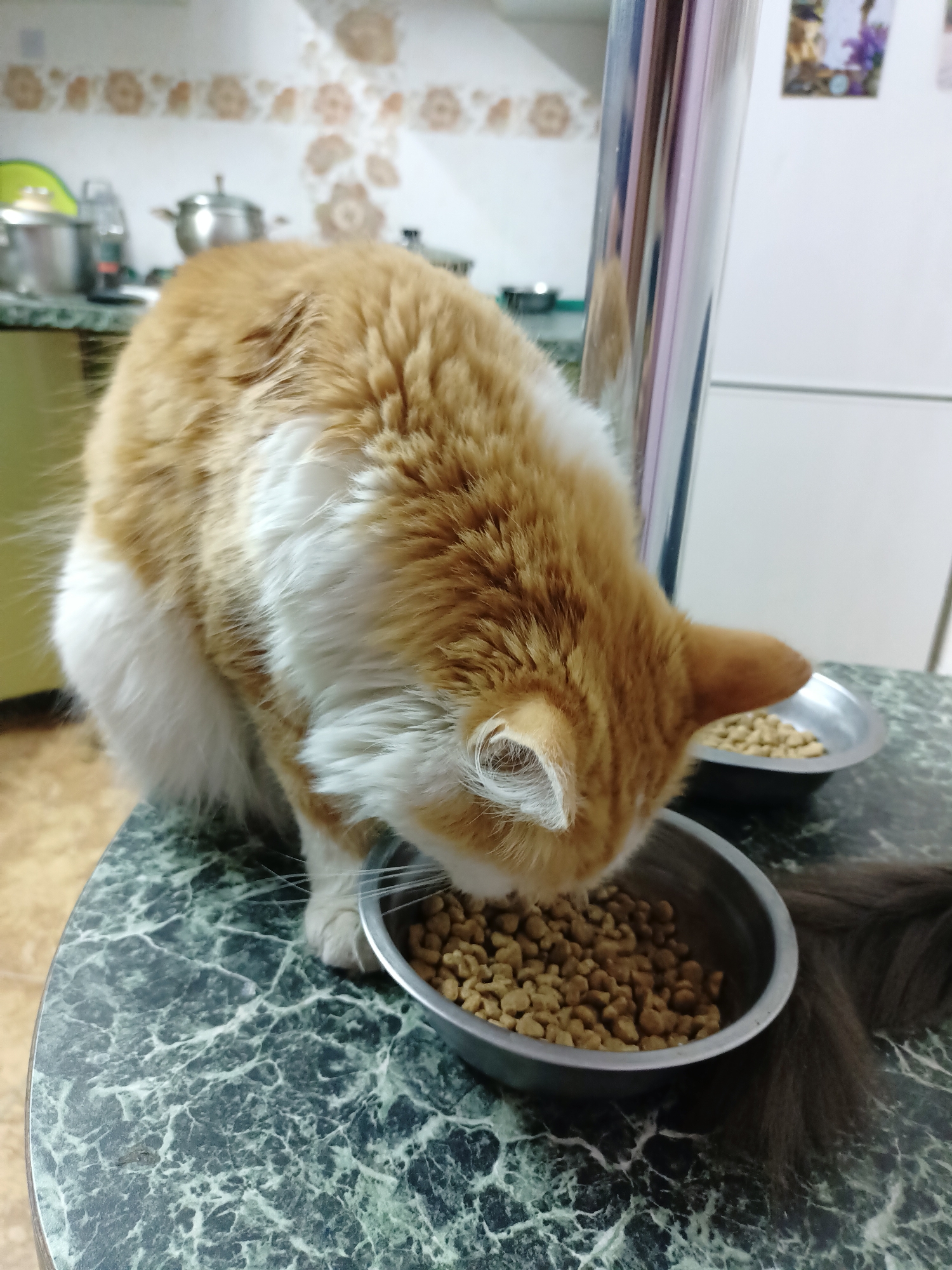 An orange and white cat is eating dry food from a metal bowl on a table with a green marble pattern. A second metal bowl containing dry food is visible behind the cat. The background shows kitchen cabinets and appliances. The image was taken indoors, likely in a residential kitchen. There is no information available to determine the location within Almaty, Kazakhstan.