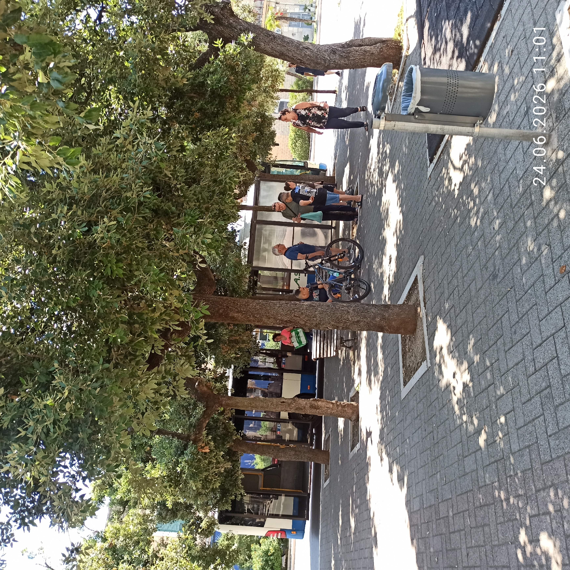 In this image, a group of people are gathered at a bus stop, waiting for or disembarking from a bus. The scene is set on a sun-dappled sidewalk lined with trees, suggesting a warm, possibly summer day. The pavement is made of interlocking grey bricks, and a modern-looking grey trash bin with an open lid stands on a pole to the right.
Among the people visible, one woman in a floral top and dark pants stands near the trash bin. Further down the sidewalk, a man in a blue shirt is leaning on a bicycle. Several other individuals are seen near the bus shelter, some standing and others seated. A bus, with its windows reflecting the surroundings, is partially visible on the left side of the frame. The presence of lush green trees indicates a location with vegetation, and the architectural style of the buildings in the background might offer further clues to the specific setting. The overall atmosphere appears casual and everyday, with the sunlight casting long shadows from the trees, indicating it might be late morning or early afternoon. A timestamp in the lower right corner reads "24.06.2026 11:01", suggesting the date and time the photo was taken.