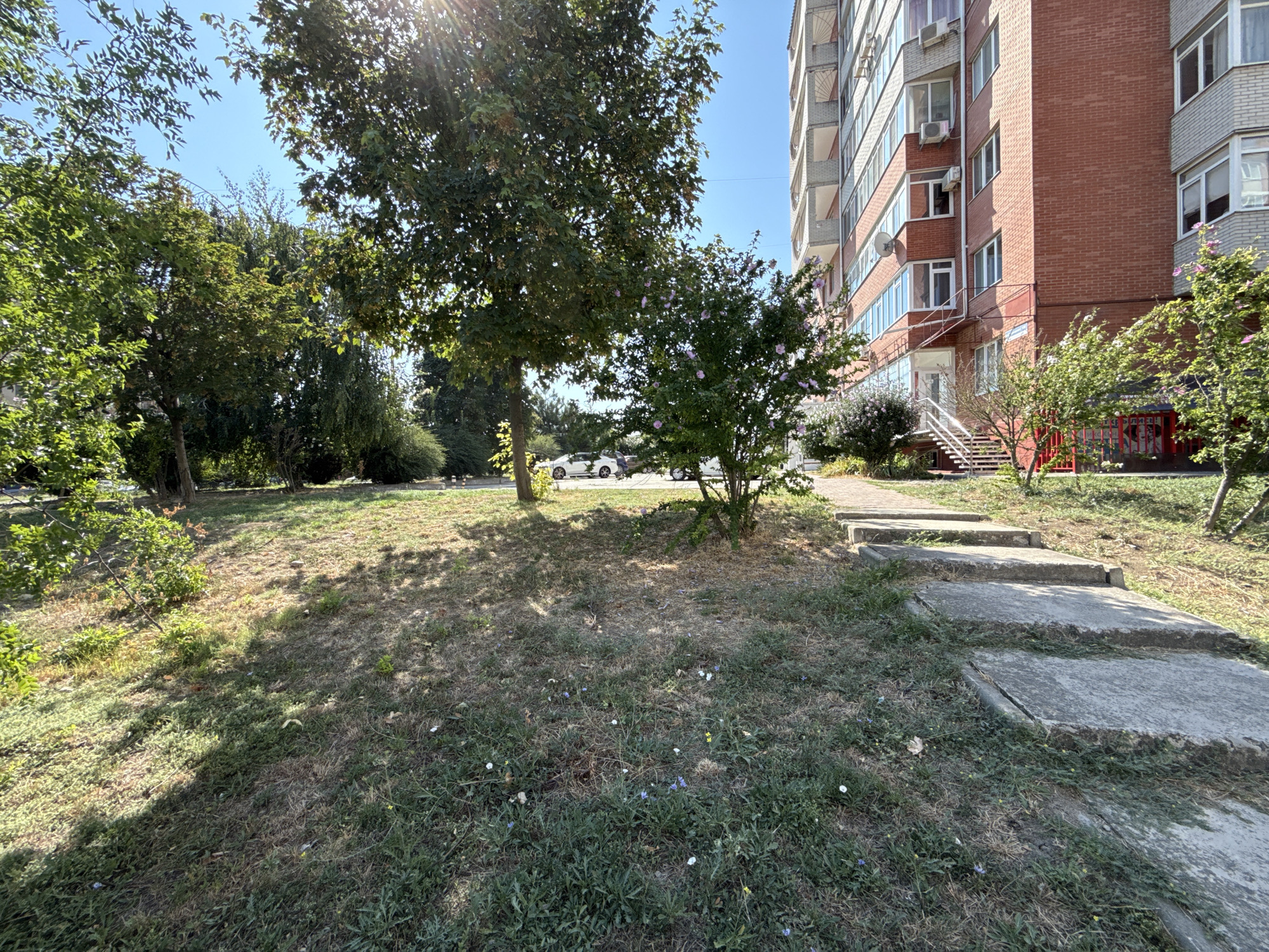 The image shows an outdoor scene on a sunny day, likely in a residential area of Anapa, Russia. In the foreground, a patch of dry, patchy grass with small scattered wildflowers is visible. To the right, a concrete pathway with several uneven steps leads upwards. Behind the grass and path, a mature tree with green foliage stands, casting dappled shadows. Further back, a smaller bush with pink flowers is present. Beyond the vegetation, a multi-story brick apartment building with a light-colored facade and balconies is situated. A few cars are parked on a paved area in front of the building. The sky is clear and blue. The scene appears to be a typical courtyard or common area between buildings in a city.