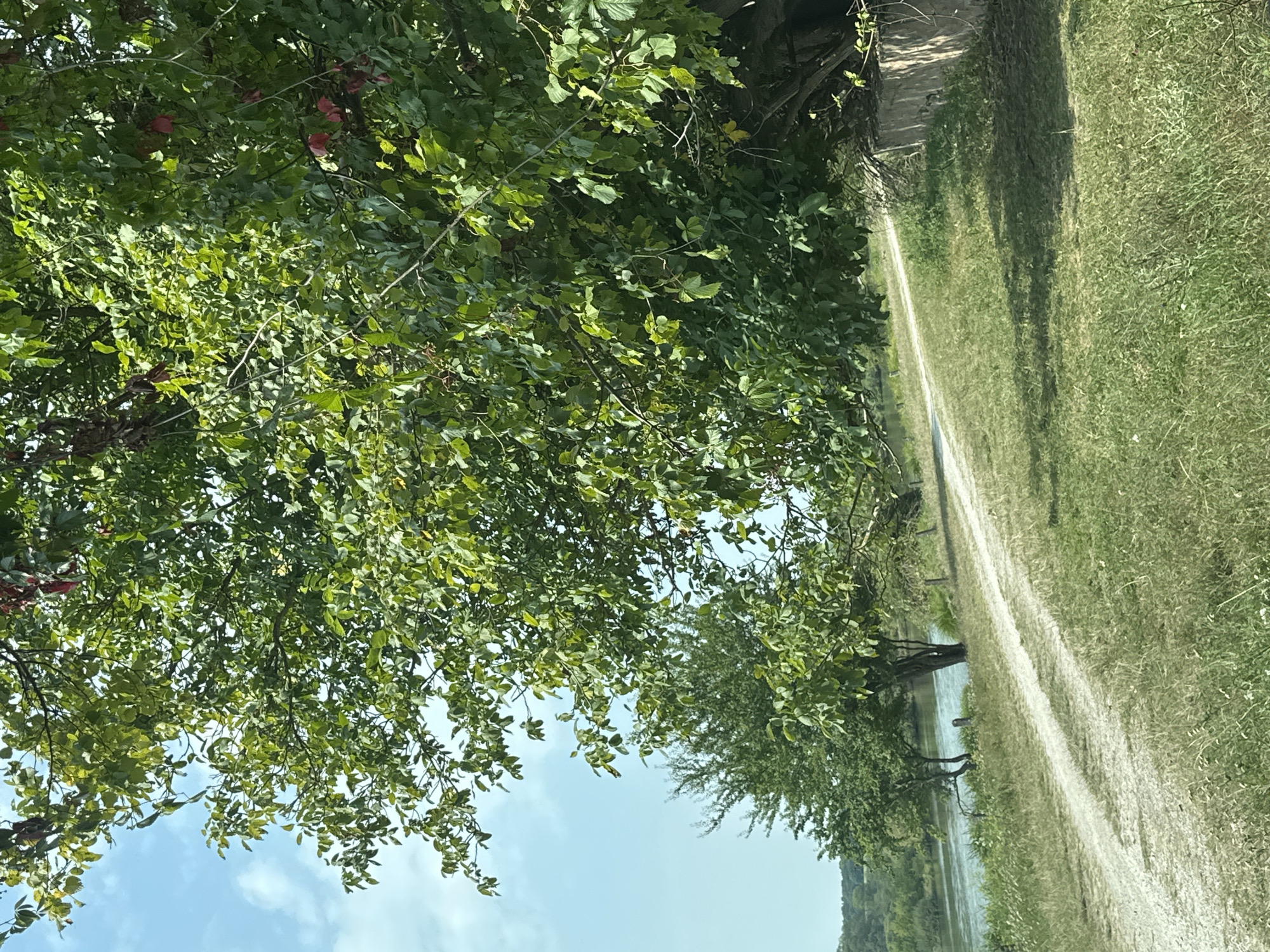 The image depicts a dirt path curving through a grassy area with trees on the right side. The path leads towards a body of water, likely a river, visible in the distance. The sky is blue with scattered clouds. The scene appears to be a natural landscape, possibly a park or rural area, with no people or specific urban features identifiable as being in the city of Makiv, Ukraine.