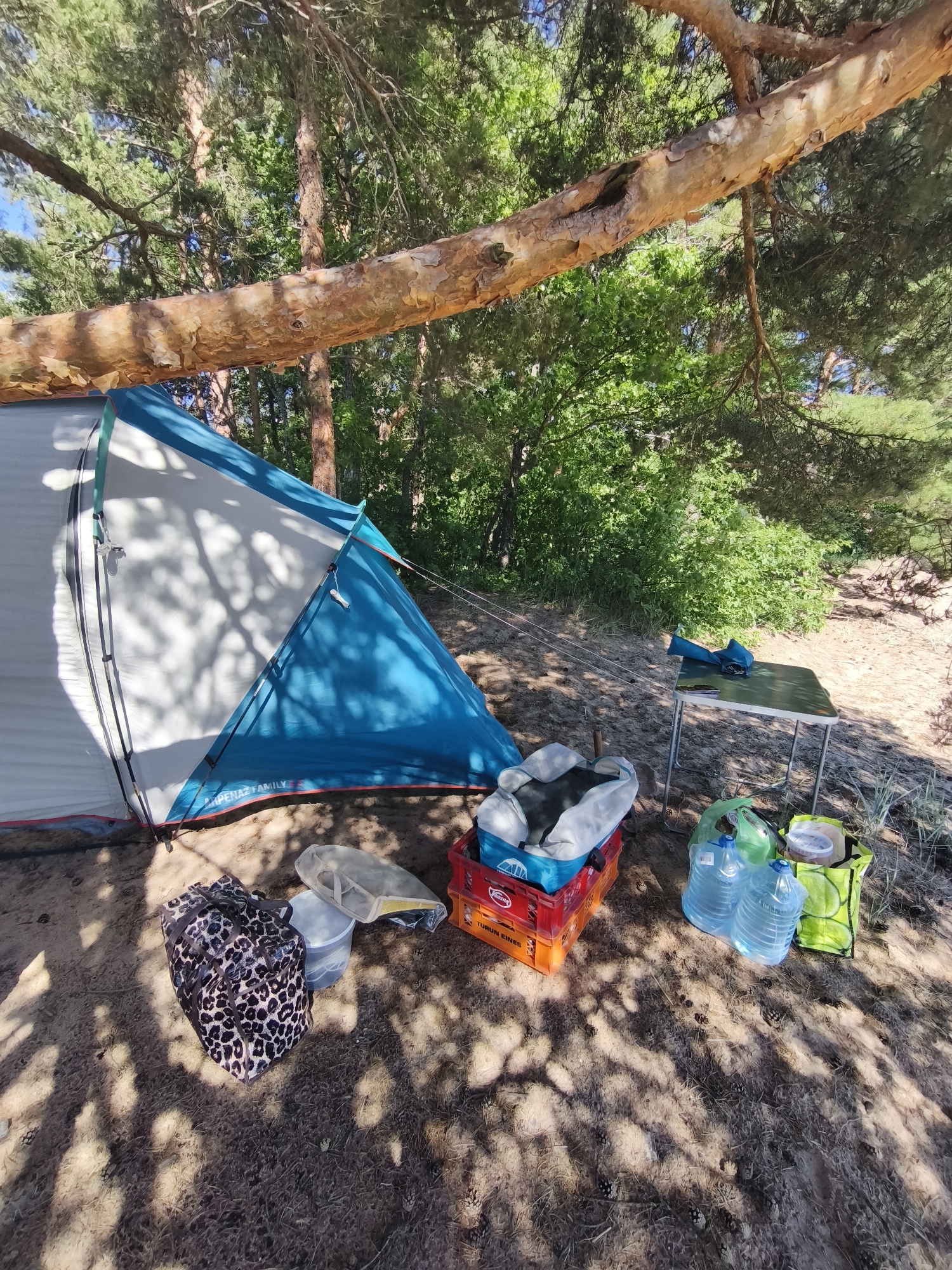 This media file depicts a campsite set up in a forest clearing, likely in Zelenaya Roshcha, Russia. The scene is illuminated by bright, natural sunlight, suggesting it is daytime. The weather appears to be pleasant, with the lush green foliage in the background indicating a warm season.
The primary subject is a blue and white tent, partially set up on sandy ground. Next to the tent, there are various camping supplies. A leopard-print bag is prominent in the foreground, alongside a clear plastic bag and a white bucket. To the right of the tent, a foldable table is set up, holding a blue bag or jacket and a phone. On the ground near the table, there are several large plastic bottles of water, a green reusable shopping bag, and a yellow tote bag containing a container with food. A red crate, possibly a beverage crate, is also visible, holding more items.
The overall impression is one of a camping excursion or a picnic in a natural setting. The shadows cast by the trees and the pine branches overhead create a dappled effect on the ground, enhancing the natural ambiance. No people are visible in the image, suggesting the photographer is either alone or the companions are out of frame. The scene evokes a sense of relaxation and enjoyment of the outdoors.
There is visible text on the red crate: "TURUN EINES" and "2014." There is also text on the tent: "ARPENAZ FAMILY."