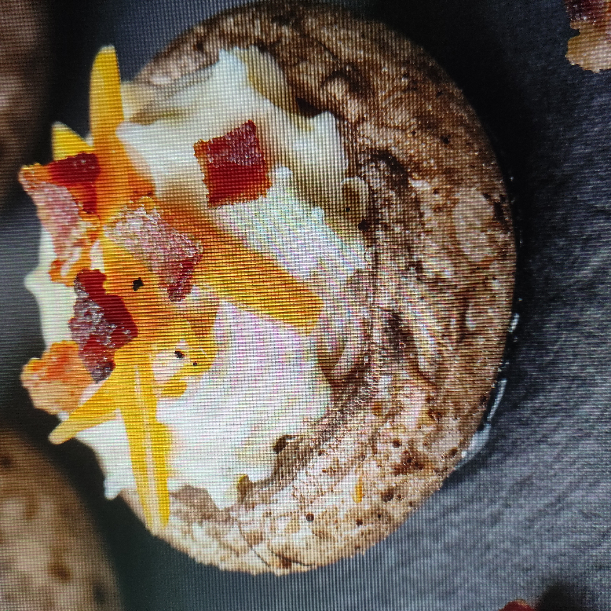 A close-up, low-angle shot shows a single stuffed mushroom. The mushroom cap is brown and textured, resting on a dark, textured surface that appears to be slate. The inside of the mushroom is filled with a creamy white filling, possibly mashed potatoes or cream cheese, mixed with shredded yellow cheese and topped with crumbled bacon. The lighting is soft, creating a slight shadow on the surface beneath the mushroom. The background is blurred, with hints of other food items.