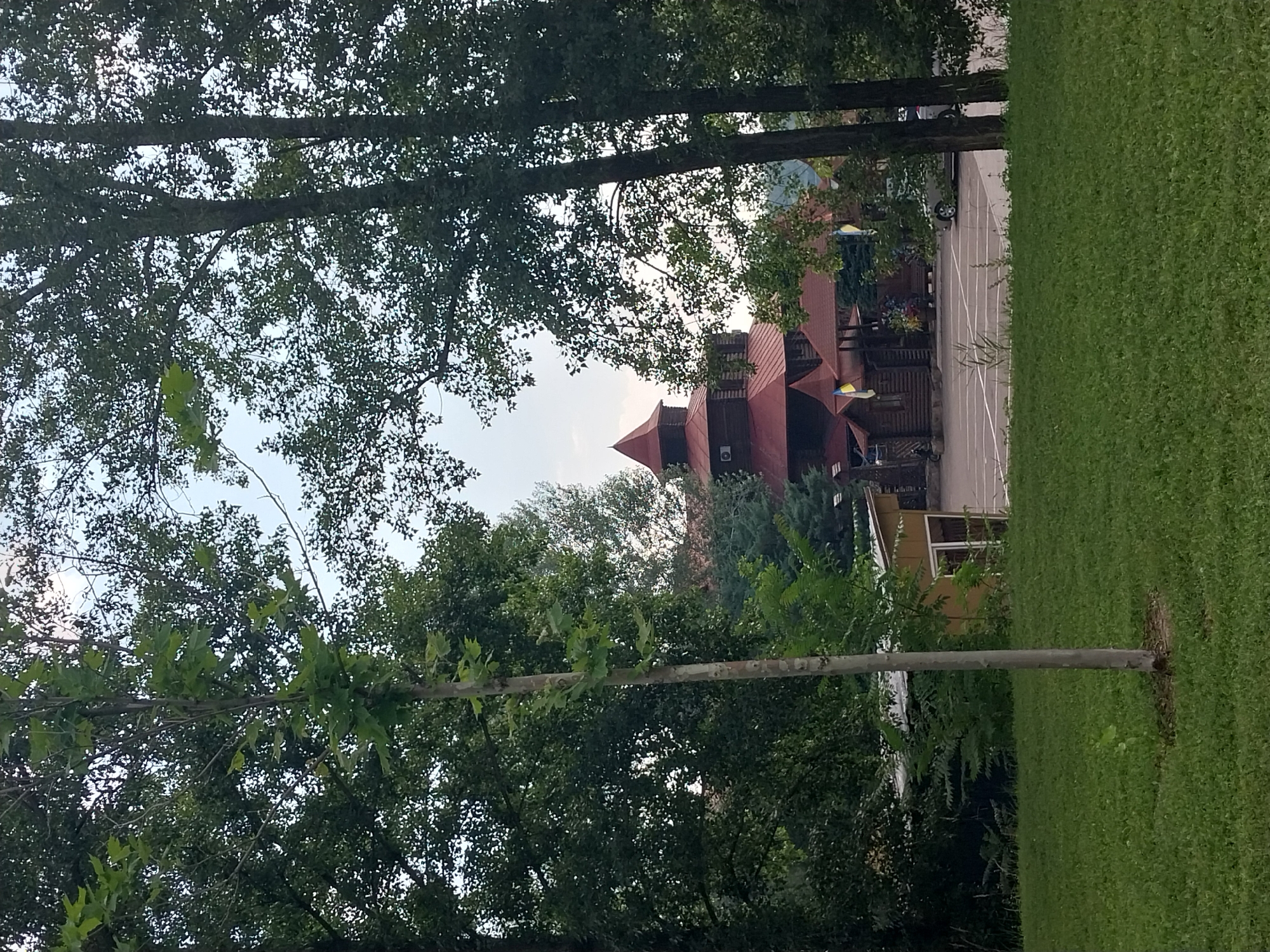 In the city of Dnipro, Ukraine, a multi-story wooden structure with a distinctive red, multi-tiered roof is visible, partially obscured by trees. The building appears to be a restaurant or a similar establishment, with Ukrainian flags displayed prominently on its facade. In front of the building, a parking lot is visible with several cars parked, and a small, yellow building with windows is situated to the left. The foreground is dominated by a lush green lawn, with a young tree standing in the center. The overall scene depicts a peaceful outdoor setting, possibly a park or a recreational area, with the distinctive architecture suggesting a unique local attraction.