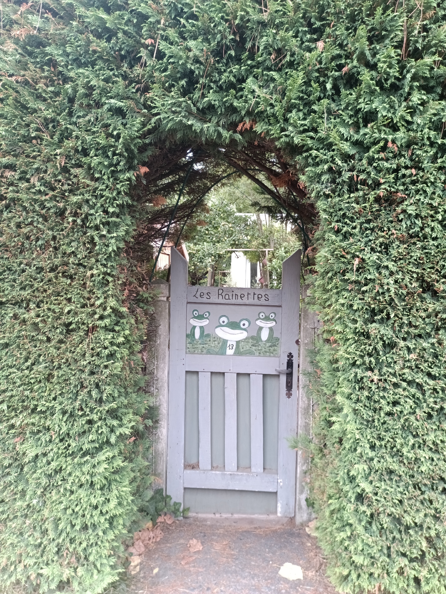 This image captures a quaint garden entrance in Houlgate, France. A weathered, grey wooden gate, adorned with three whimsical frog illustrations and the inscription "Les Rainettes," is partially open, revealing an archway formed by dense, green coniferous hedges. The hedge on the left is particularly thick, creating a natural tunnel effect. Beyond the gate, a glimpse of a garden with trees and foliage can be seen. The ground in front of the gate is covered with a mix of gravel and fallen leaves, with a few scattered dry leaves on the path. A metal handle and hinge are visible on the gate. The scene suggests a private, tranquil setting, likely a garden entrance to a home or property in Houlgate.