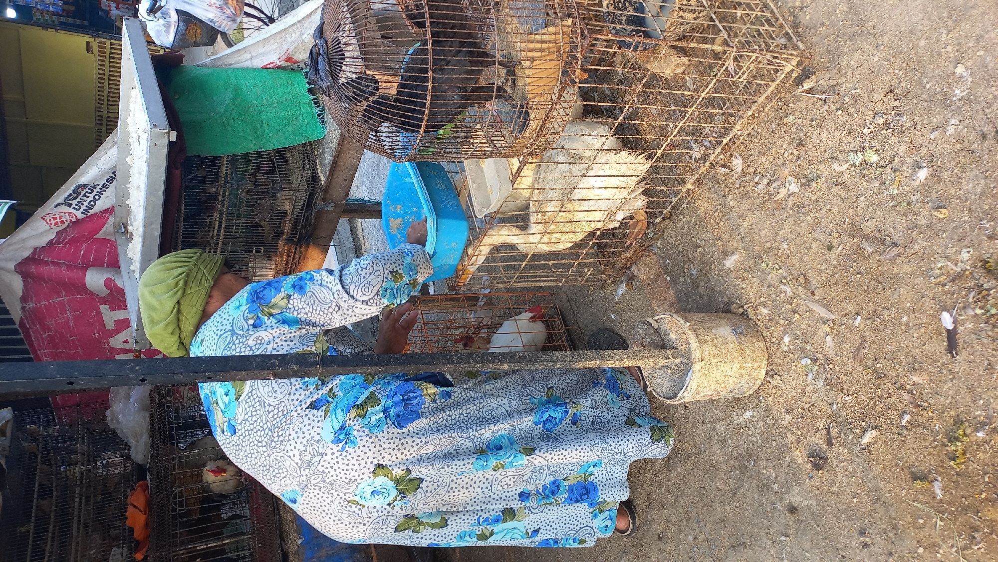 In Mangunsari, Indonesia, a woman wearing a green headscarf and a long, floral-patterned blue and white dress is attending to birds in cages at an outdoor market. She is bent over, reaching into a blue plastic basin. The birds, including chickens and what appear to be ducks, are housed in various wire cages scattered around. Behind her, a large, taut tarp with red and white markings, possibly advertising, provides shade over a tray filled with rice. The ground is a mixture of dirt and gravel, littered with feathers and debris. A metal pole stands vertically in the foreground, anchored by a concrete base. The scene suggests a bustling market environment with live poultry for sale.