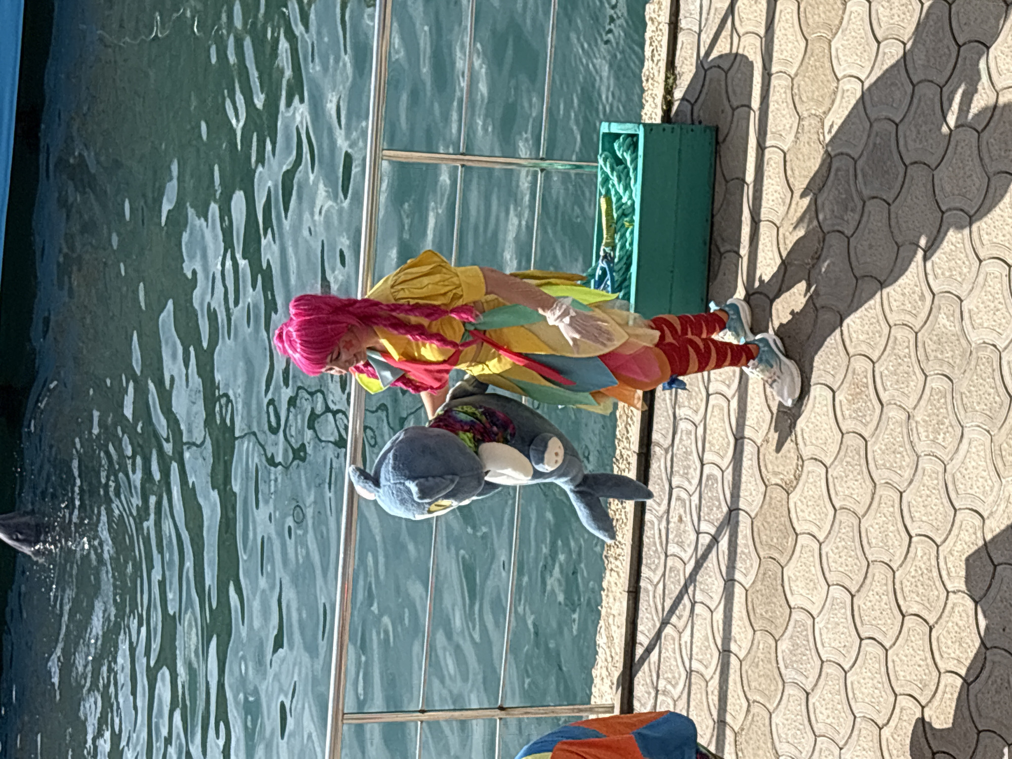 The image depicts an outdoor scene at a waterfront location, identified as Sukko, Russia, likely a dolphinarium or marine park.
In the foreground, a female performer stands on a light-colored paved dock with interlocking, wave-patterned concrete pavers. She has bright pink hair styled into two long pigtails or braids and is smiling slightly. Her attire is a vibrant, multi-colored costume consisting of a yellow top with puffed sleeves, a layered skirt-like garment in shades of yellow, blue, red, and pink, and red-and-white striped leggings. She wears white gloves and white sneakers with blue accents. She holds a blue plush toy resembling a cartoonish dolphin, which has a colorful patterned scarf around its neck, white patches on its chest and belly, and yellow eyes.
Behind the performer is a silver-colored metal railing with two horizontal bars separating the dock from the water. The water is a deep teal-blue, with visible ripples and reflections on its surface. In the upper left quadrant of the image, the head and dorsal area of a live dolphin are visible, partially submerged in the water, facing left.
To the right of the performer, near the railing, rests a rectangular wooden crate, painted green, filled with coiled green ropes. Strong sunlight casts distinct shadows of the performer and the railing onto the paved dock. A dark blue edge of a structure or boat is visible at the top center, just above the water line.