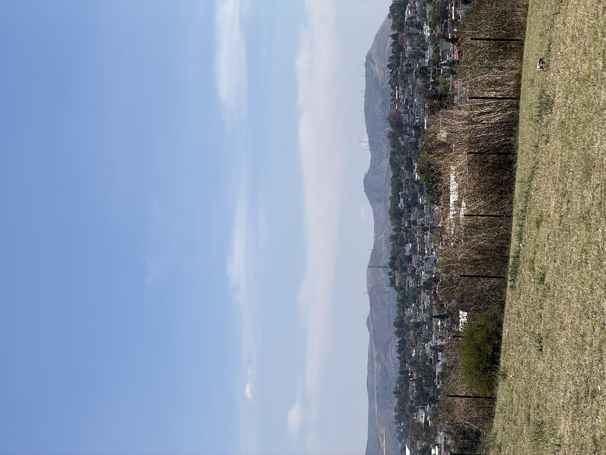 The image presents a view over San Andrés Cholula, Mexico, taken from a grassy slope. The left of the frame is dominated by a clear blue sky with wisps of white clouds. Progressing to the right, a series of hills stretch into the distance, densely populated with buildings, suggesting a residential area. Bare trees line the ridge, while the foreground is filled with dry, short grass, indicating a potentially arid climate or a dry season. A section of fencing is visible along the slope.