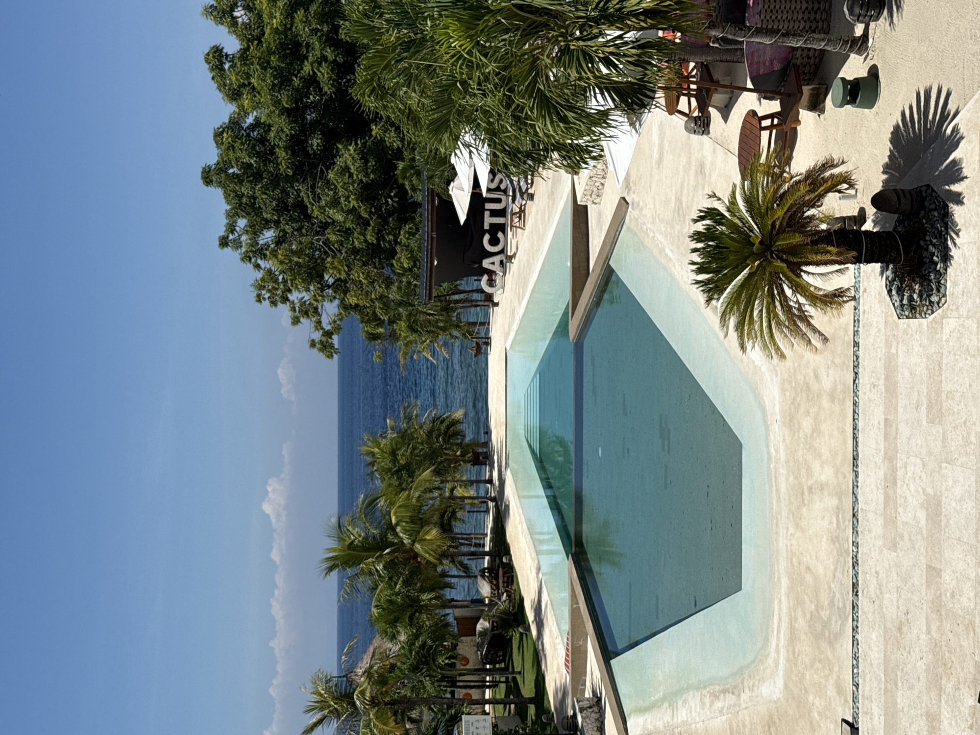 This is a high-angle, daytime shot of Cactus, a venue in Nusa Penida, Indonesia. The sky is clear and blue, contrasting with the darker blue of the sea in the distance. The vegetation is lush and green, with palm trees lining the shore. The main feature is a geometric-shaped pool filled with clear water, next to a tiled patio where there are tables and chairs under umbrellas. A sign spelling out "CACTUS" is partially visible among the trees and infrastructure.