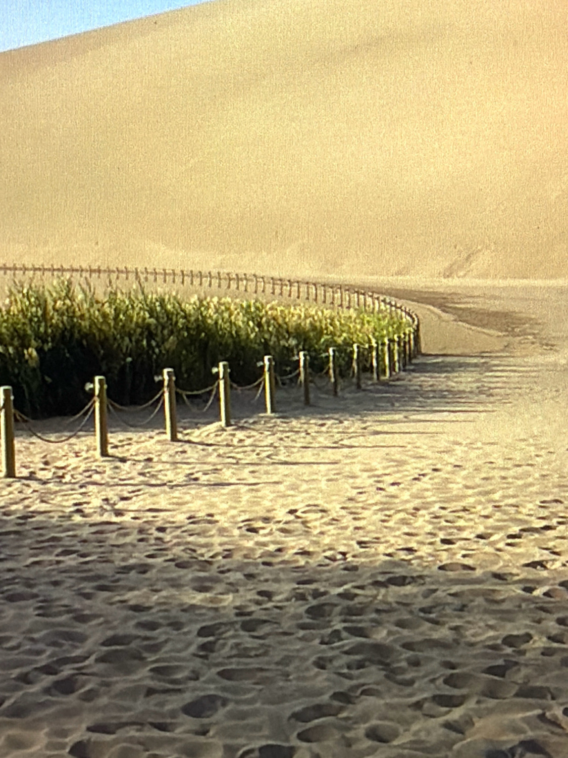 The image depicts a sandy environment, likely a desert, with a large, undulating sand dune dominating the background. In the middle ground, a low, curved fence made of wooden posts and ropes borders a strip of green vegetation. A pathway made of sand or a similar material runs alongside the vegetation and fence, curving into the distance. The foreground is covered in sand with visible footprints, suggesting recent human or animal activity. The lighting indicates a sunny day, casting shadows from the fence posts. The scene is devoid of any people or specific landmarks that would pinpoint its location within Kafr Yasif, Israel.