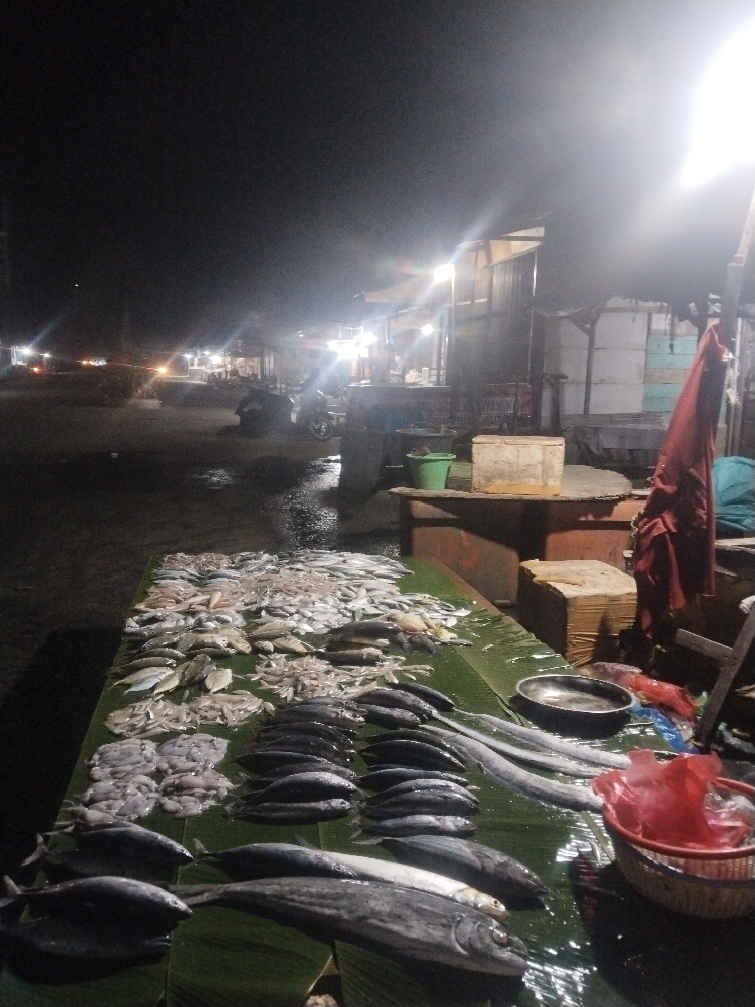 This image depicts a lively night market scene, likely a seafood market, in Lhokseumawe, Indonesia. The foreground is dominated by a large variety of fresh fish and seafood, including different species of fish, squid, and long eels, all meticulously arranged on wet, reflective green banana leaves laid out on a table.
In the mid-ground, to the right, a silver metal bowl, a wicker basket with a red plastic bag, and a hanging dark red cloth are visible. Behind the main fish display, on an elevated wooden stand, rests a green bucket and a light-colored wooden box. Partially legible Indonesian text on the wooden box reads "HASIL LAUT WAHWAH" (Seafood Wahwah), with further indistinct text below. The surrounding structures are simple, appearing to be market stalls constructed from wood and corrugated metal.
The background shows a dark street or pathway illuminated by bright artificial lights emanating from various stalls and possibly distant vehicles. Several motorcycles are visible, suggesting transportation and market activity. The ground appears damp or wet in places. The overall atmosphere indicates a busy commercial event taking place at night, with vendors selling fresh catches. Shadows and indistinct figures suggest the presence of people, both traders and customers, interacting within the brightly lit areas of the market.