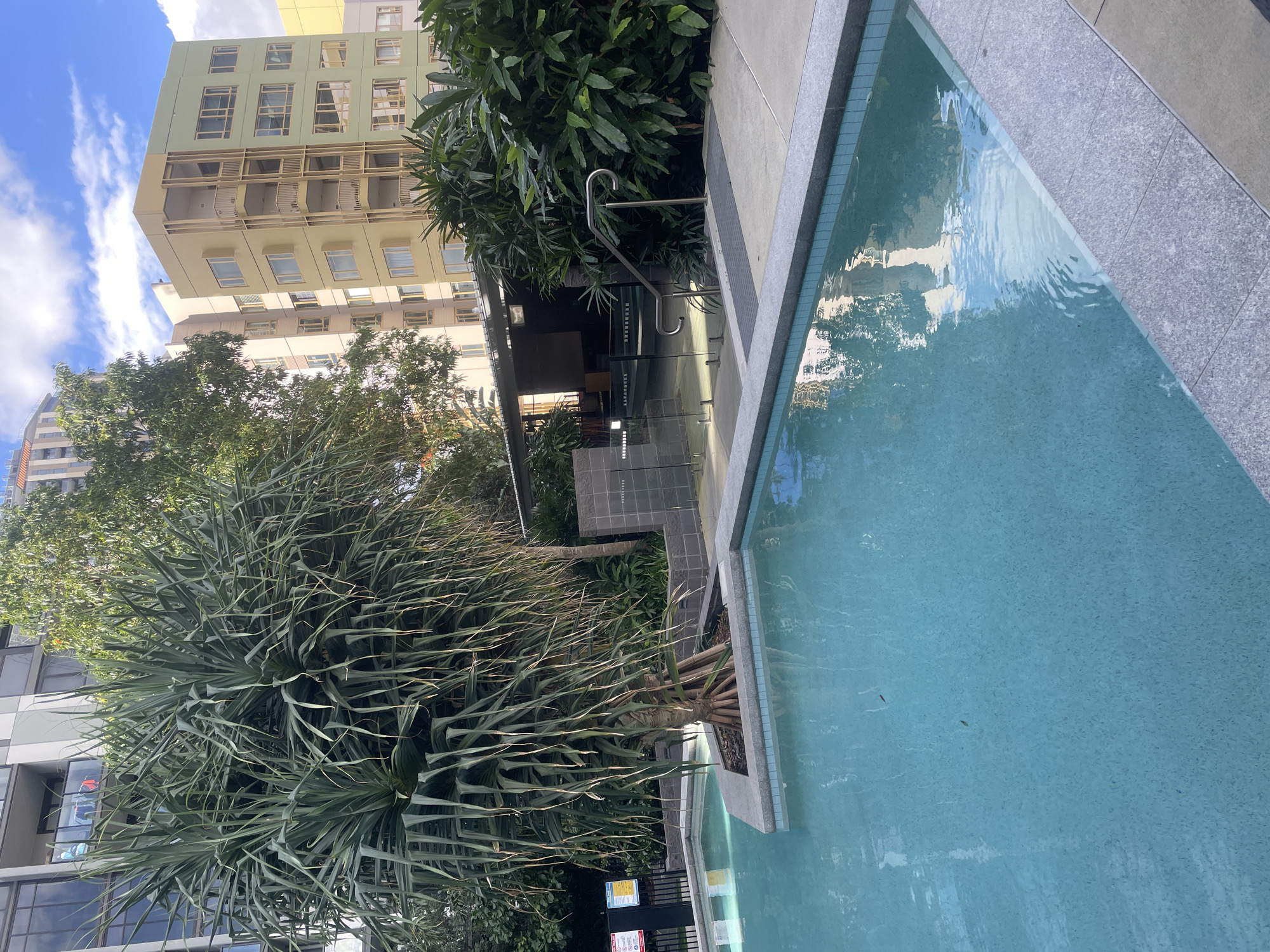 An outdoor swimming pool is situated in a modern urban setting, likely in Brisbane, Australia, given the architectural style of the surrounding buildings. The pool is filled with clear, turquoise water, reflecting the sky and the adjacent buildings. The pool's edge is bordered by granite tiles and a concrete walkway.
In the foreground, a large, spiky pandanus tree stands prominently, its long, strap-like leaves casting shadows. Behind the tree, a sheltered area with seating and tables is visible, partially obscured by dense green foliage. Further in the background, multi-story apartment buildings with light-colored facades and balconies dominate the skyline, interspersed with trees and a clear blue sky with scattered clouds. The overall scene suggests a residential complex or hotel with a communal pool area designed for relaxation and leisure. No people are visible in the image.