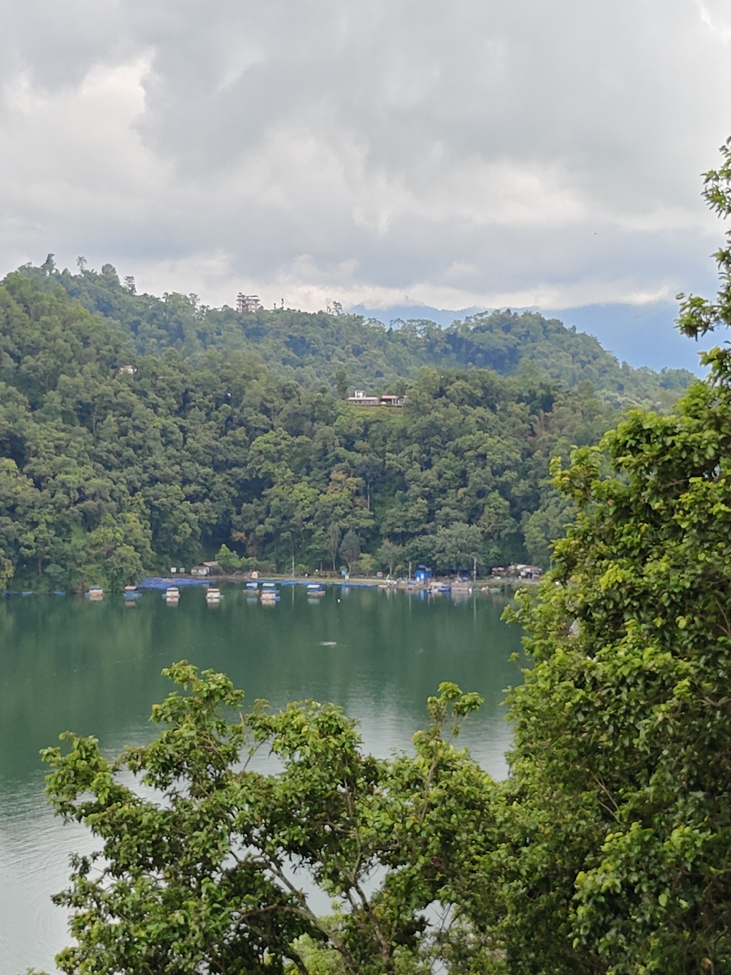 This is a scenic view of Phewa Lake in Pokhara, Nepal, captured on a cloudy day. The foreground is dominated by lush green trees with dense foliage, partially obscuring the view. In the mid-ground, the calm, green waters of Phewa Lake stretch across the frame. Several small, colorful boats are visible on the lake, some with blue covers, and a few small buildings or structures are situated along the shoreline, possibly serving as boathouses or small shops. The background features a steep, densely forested hillside, characteristic of the Pokhara valley. Higher up on the hillside, a few buildings are discernible, perched amongst the trees. The sky above is overcast with large, grey clouds, suggesting a subdued lighting condition. The overall impression is one of natural beauty and tranquility, typical of the lakeside scenery in Pokhara.