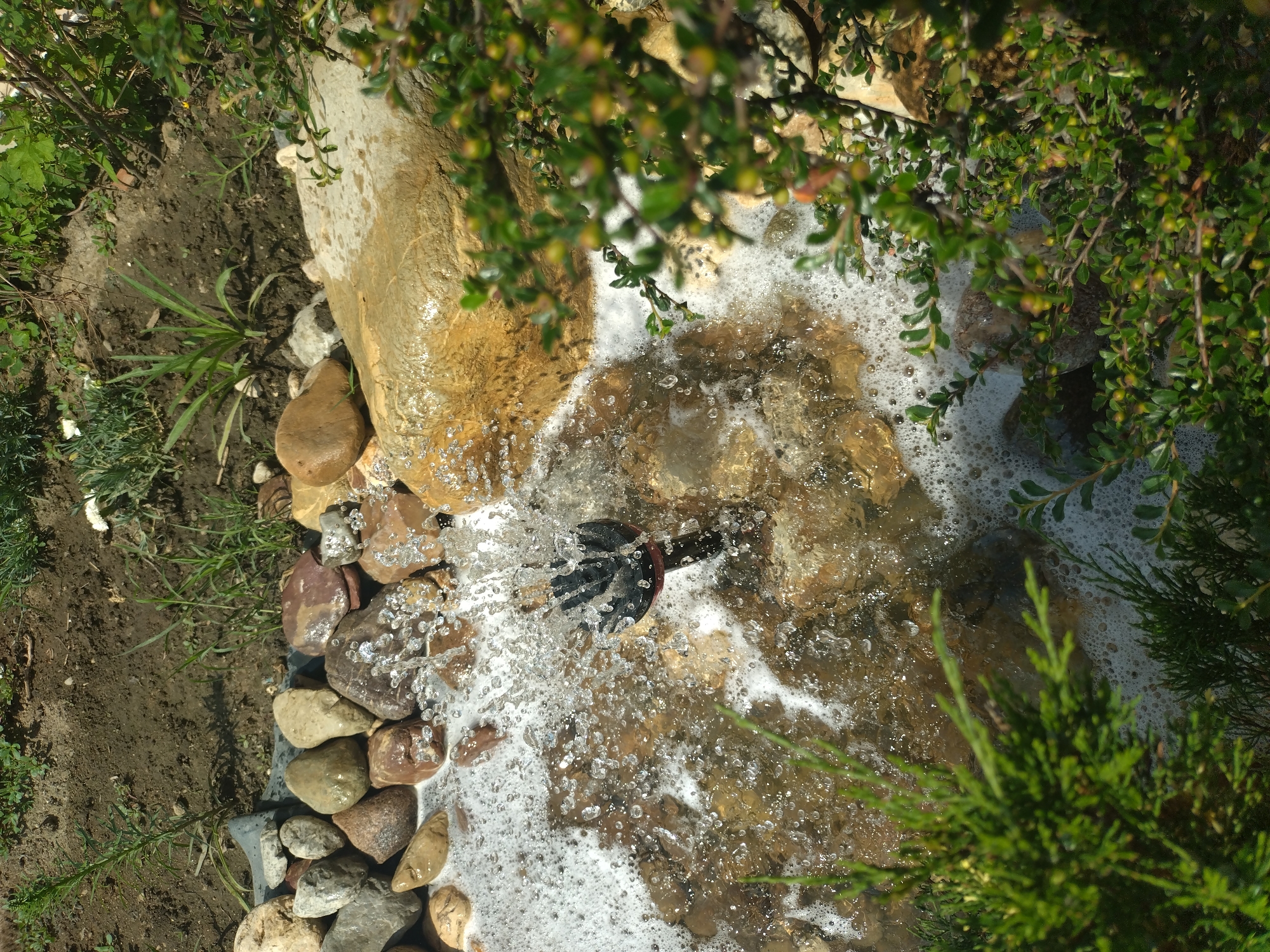 The image depicts a close-up view of a small water feature, likely a garden fountain or pond, surrounded by rocks and greenery. A black nozzle, part of the fountain mechanism, is visible in the center, actively spraying water upwards, creating a foamy, bubbling effect in the water below. The water is clear and cascades over various-sized river stones, some of which are wet and appear shiny. The surrounding area is filled with natural elements, including smooth, rounded rocks of varying colors (grays, browns, and tan) and lush green foliage. In the background, patches of dark soil are visible with some sparse green vegetation. The overall scene suggests an outdoor, garden or backyard setting. The lighting indicates it is daytime, with the sun casting subtle shadows. There are no people or animals present in the image. The location is identified as Yagoda, Bulgaria.