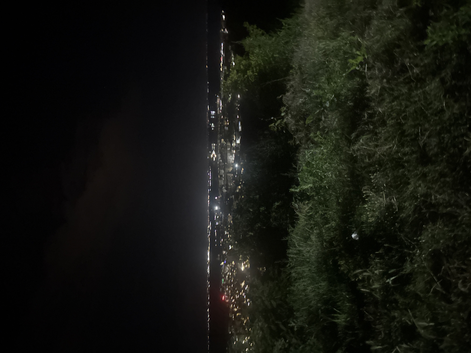 A nighttime, wide-angle, elevated view of the city of Silistra, Bulgaria, is captured. The foreground consists of dense, dark green grass and vegetation, with some dry, lighter-colored blades interspersed. The midground reveals the city lights, appearing as blurred orbs of white, yellow, and red, stretching across the horizon. In the far distance, the lights continue, suggesting a sprawling urban area or possibly lights across a body of water. The sky above is predominantly dark, with a faint, possibly cloudy, area visible towards the top center. The overall impression is of a quiet, illuminated cityscape viewed from a natural vantage point at night.