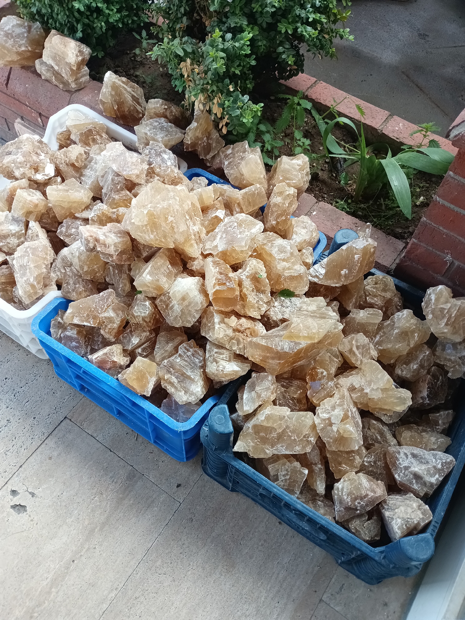 The image shows a close-up, high-angle view of three plastic crates filled with rough, amber-colored crystal chunks. Two blue crates are in the foreground, partially filled, and a white crate is behind them. The crystals vary in size and shape, with some appearing translucent and others more opaque. They are piled high within the crates, suggesting a bulk quantity.
In the background, a garden bed with green foliage and a brick border is visible. The ground in the foreground appears to be a light-colored, tiled surface. The scene is outdoors, possibly a market or a shop selling decorative stones or mineral specimens. The setting is not explicitly identifiable as Seydişehir, Turkey, but it depicts a common type of display for natural materials. There are no people or animals present in the image.