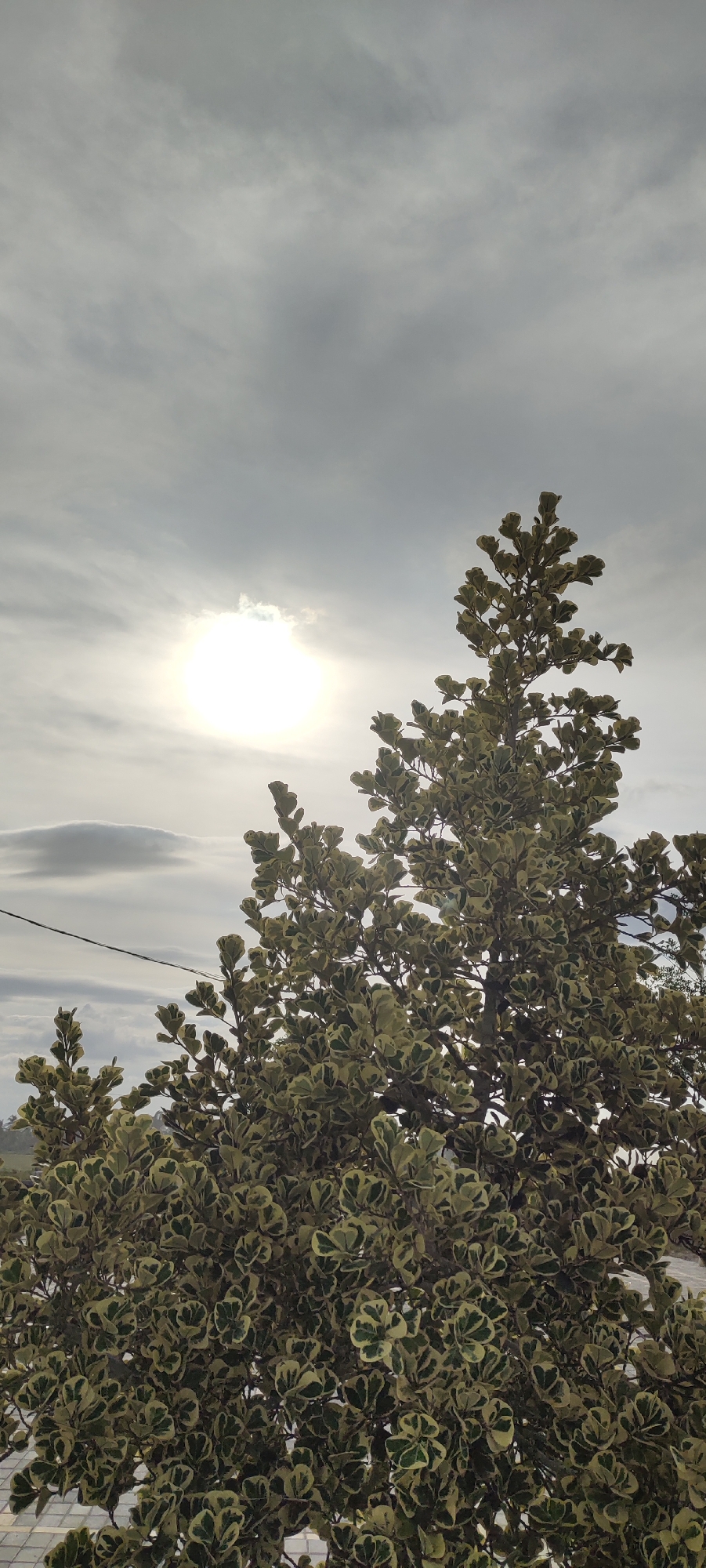 The image depicts a tree with green and white variegated leaves against a cloudy sky. The sun is visible, obscured by the clouds. An electrical wire runs across the middle ground of the image. Based on the location provided, the scene is likely outdoors in a residential or semi-urban area of Meunasahaluedrienlhoksukon Barat, Indonesia. The image contains no people.