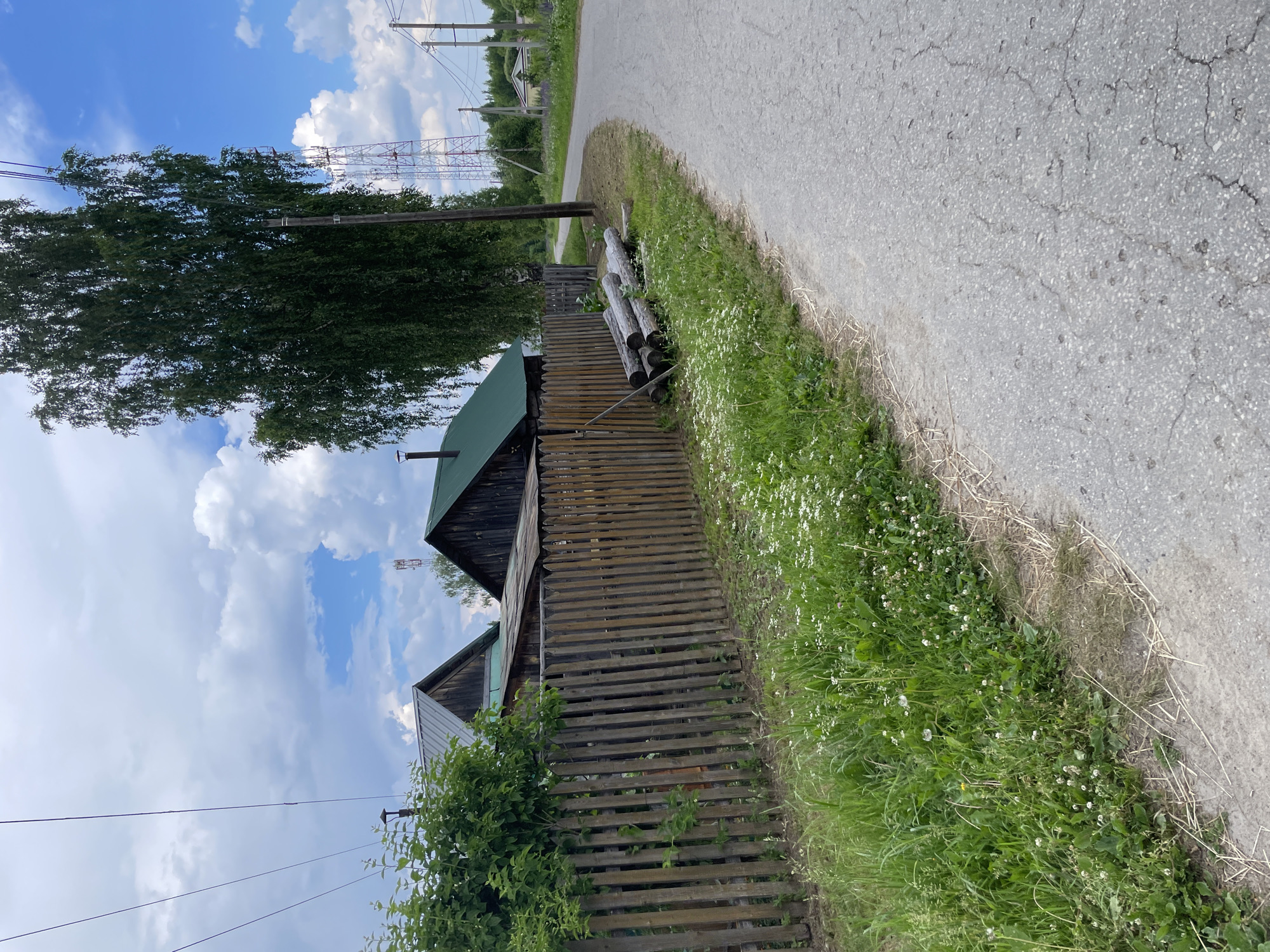 A dirt road curves through a rural landscape in Prudý, Russia, bordered by a wooden fence and lush green grass with small white flowers. Behind the fence, two wooden houses with green roofs are visible. A tall, leafy birch tree stands prominently on the right side of the road, with a cell tower in the distance. Several logs are piled near the fence. The sky is a mix of blue and white clouds. The road surface is asphalt and shows signs of wear and cracking. There are no people or animals present in the scene.