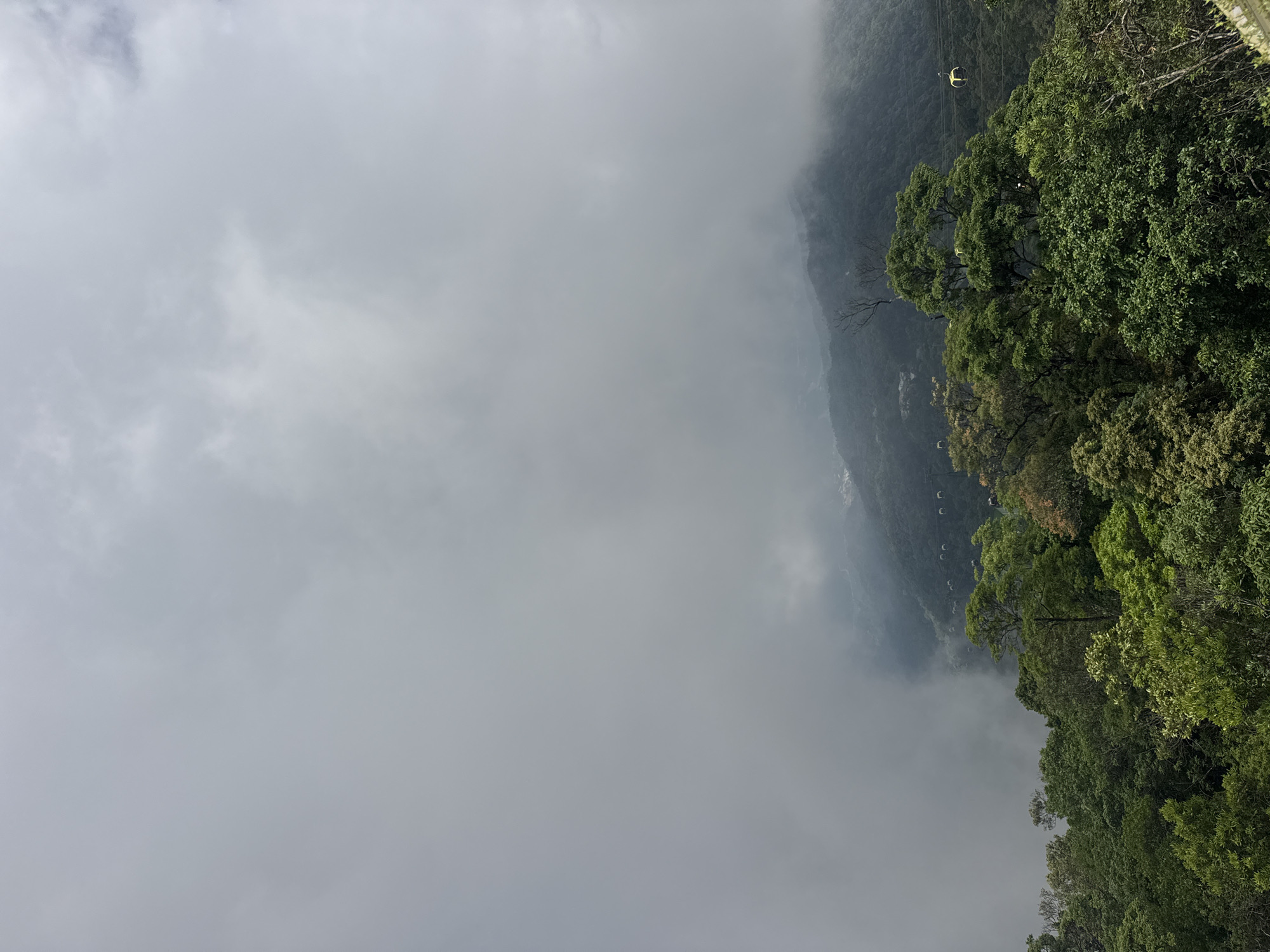 The image captures a mountain scene in Đà Nẵng, Vietnam, shrouded in heavy mist and clouds. Lush, green forest lines the right side of the frame, contrasting with the dense gray mist that dominates the majority of the view. Cable cars are visible, suspended in the air.