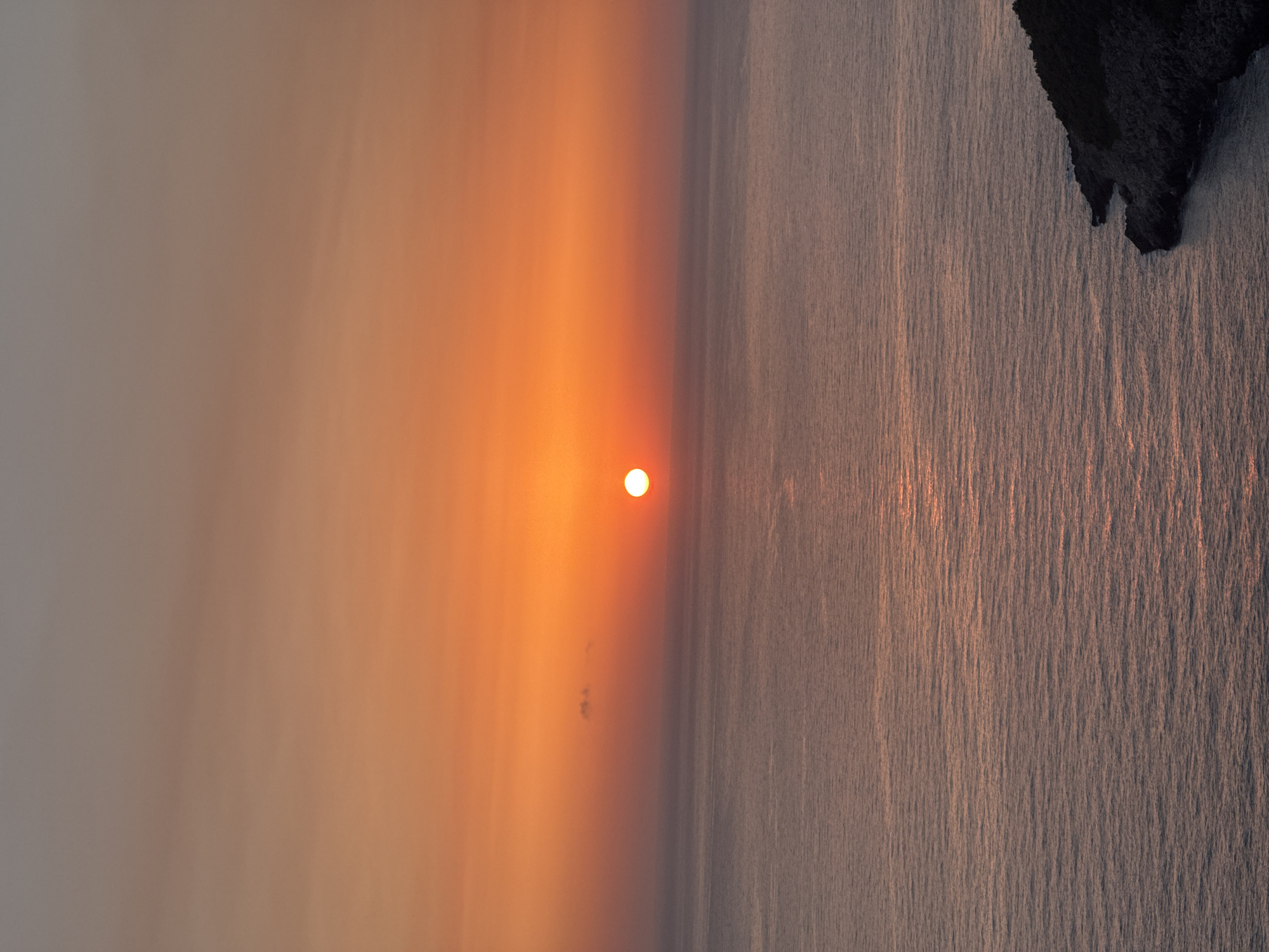 This is an aerial, vertical, medium shot of a sunset over the sea, near the city of Zagora, Montenegro. The sun, a small, bright orange orb, is positioned just above the horizon in the center of the frame, casting a warm glow across the sky and water. The sky transitions from a pale grey at the top to a vibrant orange at the horizon, with a few wispy clouds scattered throughout. The sea is a calm, muted blue-grey, reflecting the colors of the sunset. In the lower right corner, a dark, rocky coastline covered in vegetation juts out into the water. There are no people or animals visible in the image.