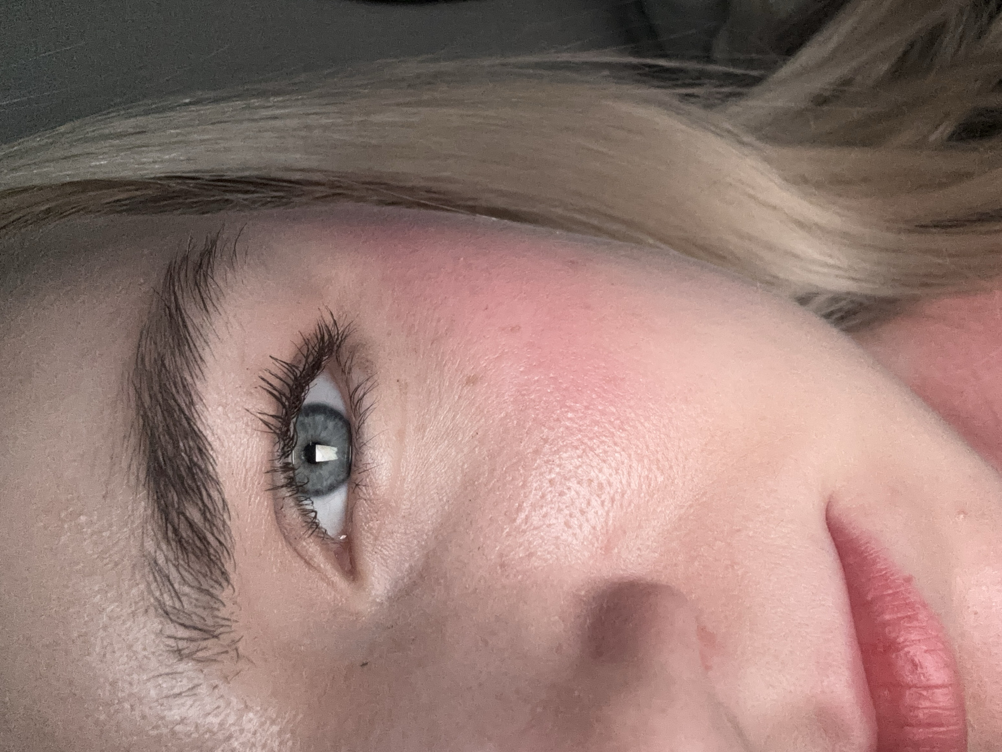 A close-up, angled shot features the left side of a person's face, focusing primarily on their eye, eyebrow, and surrounding skin, with part of their lips visible in the lower right. The subject has fair skin and blonde hair, which is seen out of focus in the upper part of the image. The prominent eye has a blue-grey iris with a distinct rectangular reflection, likely from a light source, on the pupil. Dark, well-defined eyelashes frame the eye, and a thick, dark eyebrow is visible above it.
A flush of pinkish-red blush or eyeshadow is applied to the cheekbone and temple area above the eye. The skin shows visible texture, including pores and some minor imperfections. The lips, partially seen, are a reddish-pink and appear to have prominent lines or be slightly chapped. The overall scene is a detailed portrait, likely taken indoors with controlled lighting, given the clear reflection in the eye and the soft, out-of-focus background. No specific activity is depicted beyond being photographed. There is no visible text. The provided location context of Vsevolozhsk, Russia, is not discernible from the image itself.