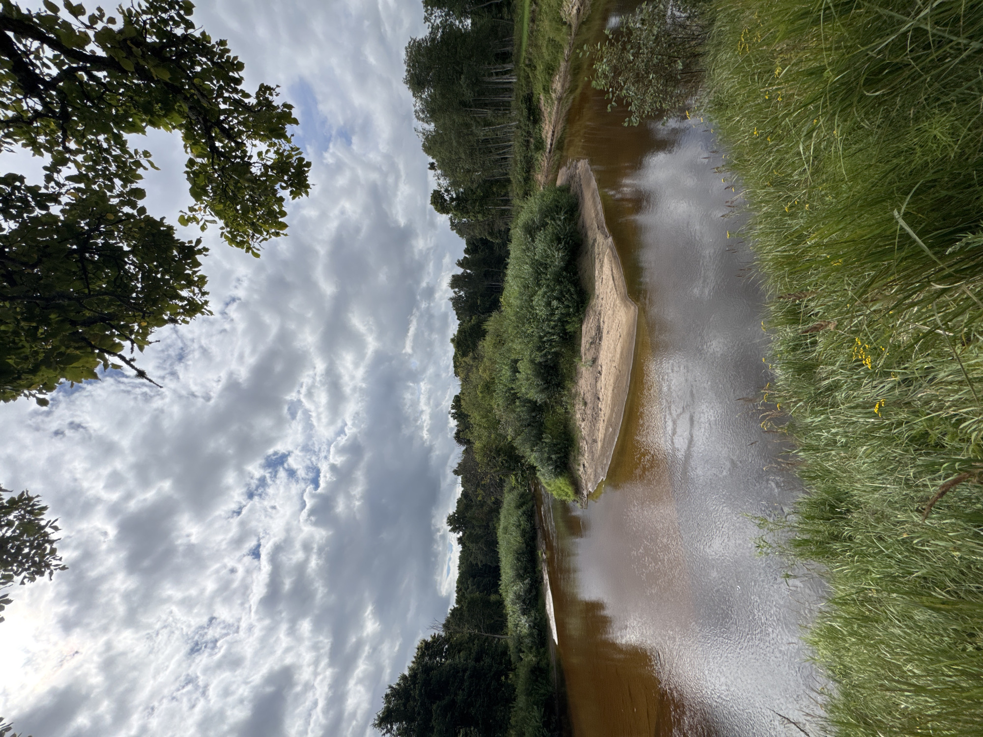The image depicts a natural scene with a river winding through a wooded area. The river has brown-tinted water and a sandy embankment. The banks are lined with lush green grass and various trees, including a dense cluster of birch trees on the right side. The sky is overcast with dramatic, textured clouds. The foliage of trees hangs into the frame from the top, suggesting the viewpoint is from beneath a tree canopy. The location is identified as Vērene, Latvia. There are no people or animals visible in the image.