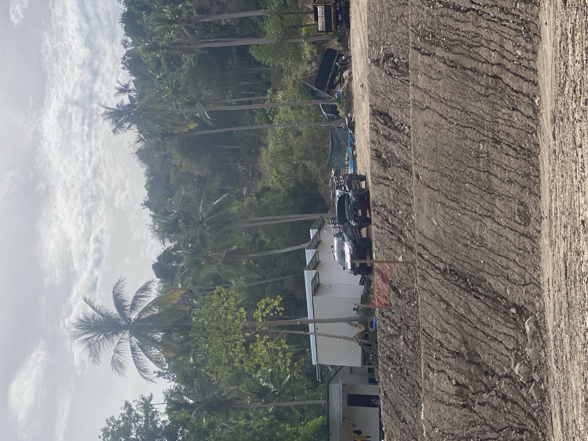 This is an outdoor scene in Baan Wang Ta Kien, Thailand. A concrete structure runs vertically along the right side of the image. To the left of the concrete structure, there are buildings and vehicles, including a dump truck. Beyond this area, there is dense tropical foliage, including many tall palm trees. The sky is overcast with scattered clouds.