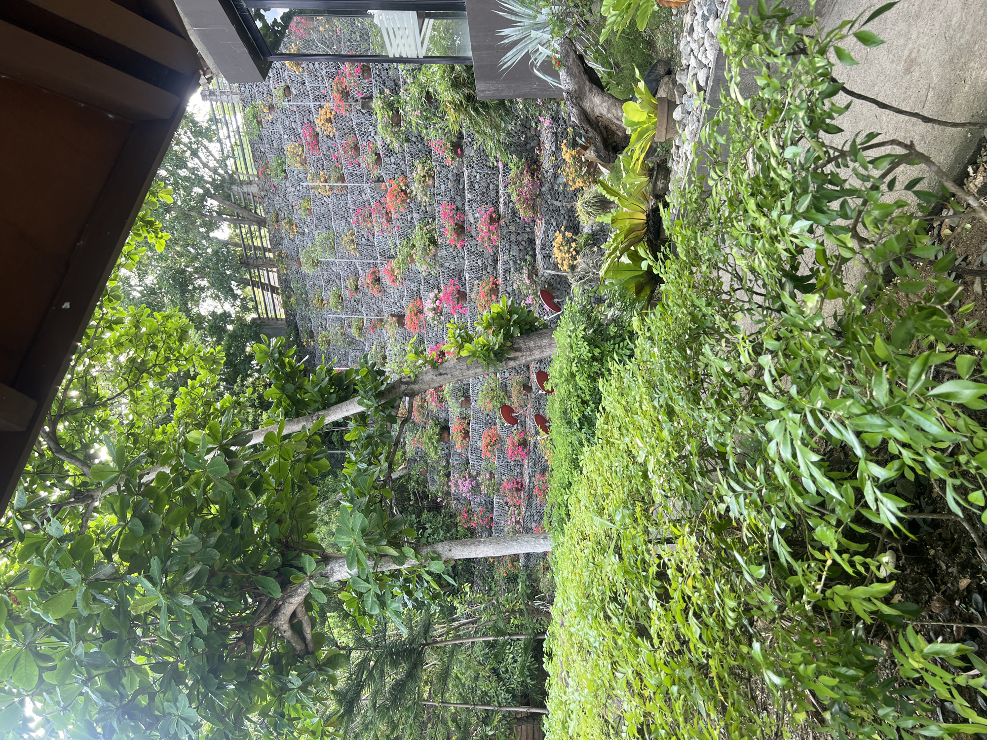 A vibrant, vertical garden adorns a stone wall in Banaybanay, Philippines. The wall is structured with wire mesh, housing a variety of flowering plants in pink, red, and yellow hues. Lush greenery surrounds the wall, with trees and shrubs filling the foreground and contributing to a tropical environment. A building structure partially frames the scene on the left side.