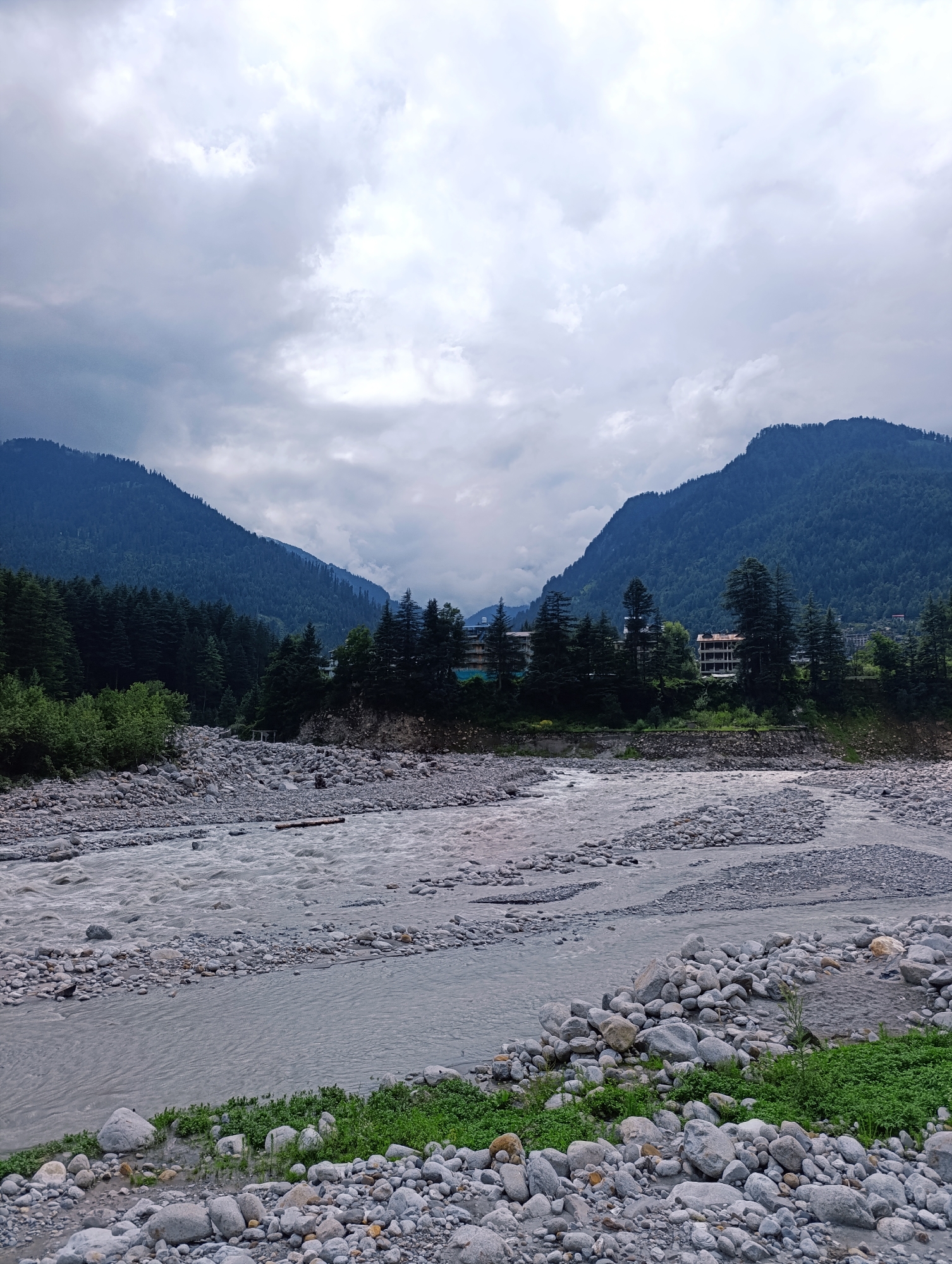 A wide, rocky river flows through a valley in Vashisht, India, with forested mountains in the background under a cloudy sky. The river is a mix of shallow and deeper channels, with smooth, gray stones and pebbles lining its banks and forming islands within the water. Lush green vegetation grows in patches along the river's edge. In the middle ground, a dense forest of dark green pine trees covers the lower slopes of the mountains. Several buildings, appearing to be hotels or guesthouses, are visible nestled among the trees on the mountainside. The sky is filled with heavy, gray clouds, suggesting overcast weather. The overall scene is natural and serene, with a hint of human presence in the distant structures.