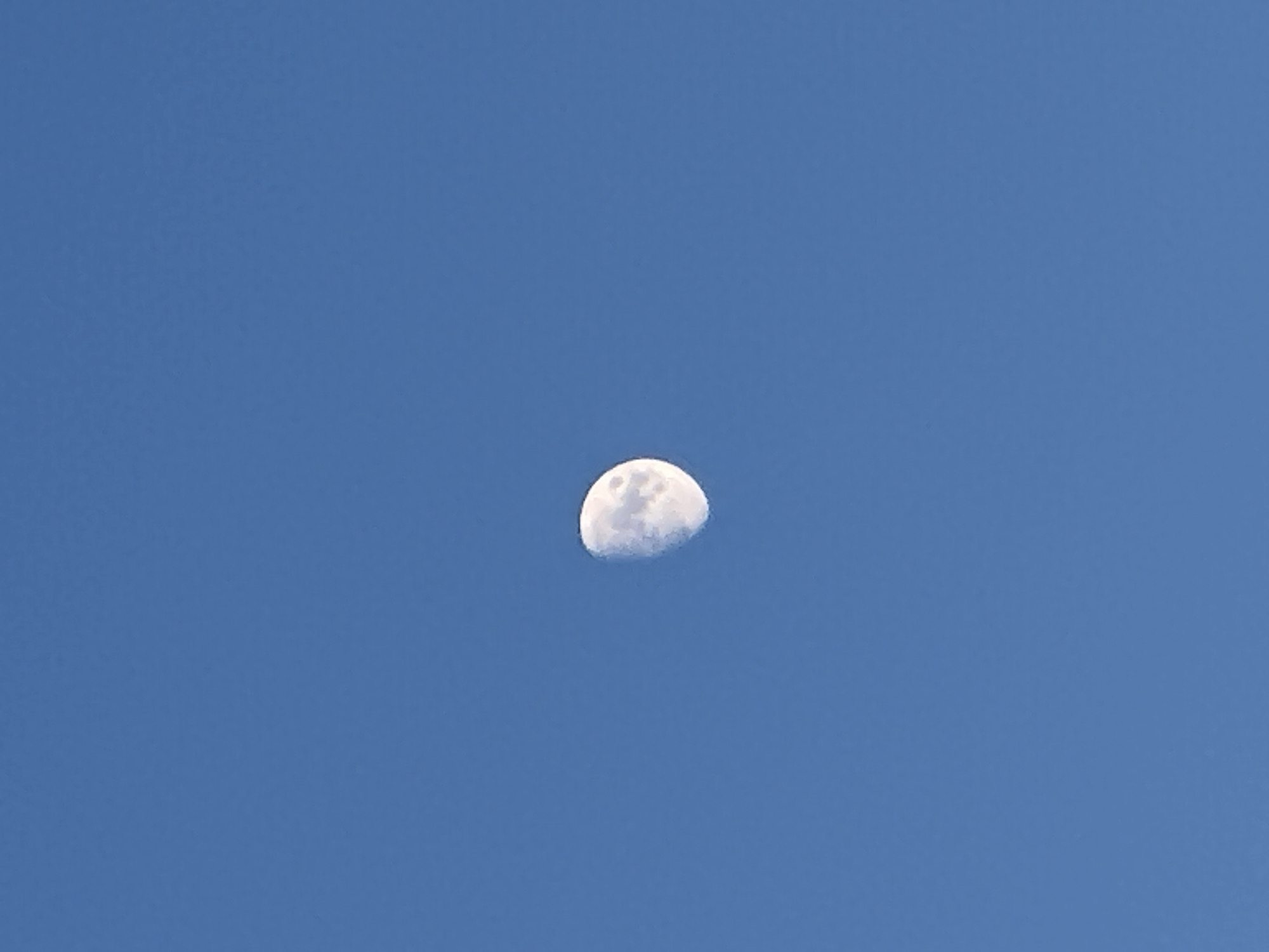 This media file contains a photograph of a gibbous moon set against a clear, deep blue sky. The moon is the sole subject, positioned in the upper center of the frame. It is illuminated from the right, showing approximately three-quarters of its surface. Craters and other surface details are visible, giving the moon a textured appearance. The sky is a uniform color, suggesting a daytime or early evening setting with no clouds. There is no visible text in the image. The overall impression is one of a clear, serene celestial view.