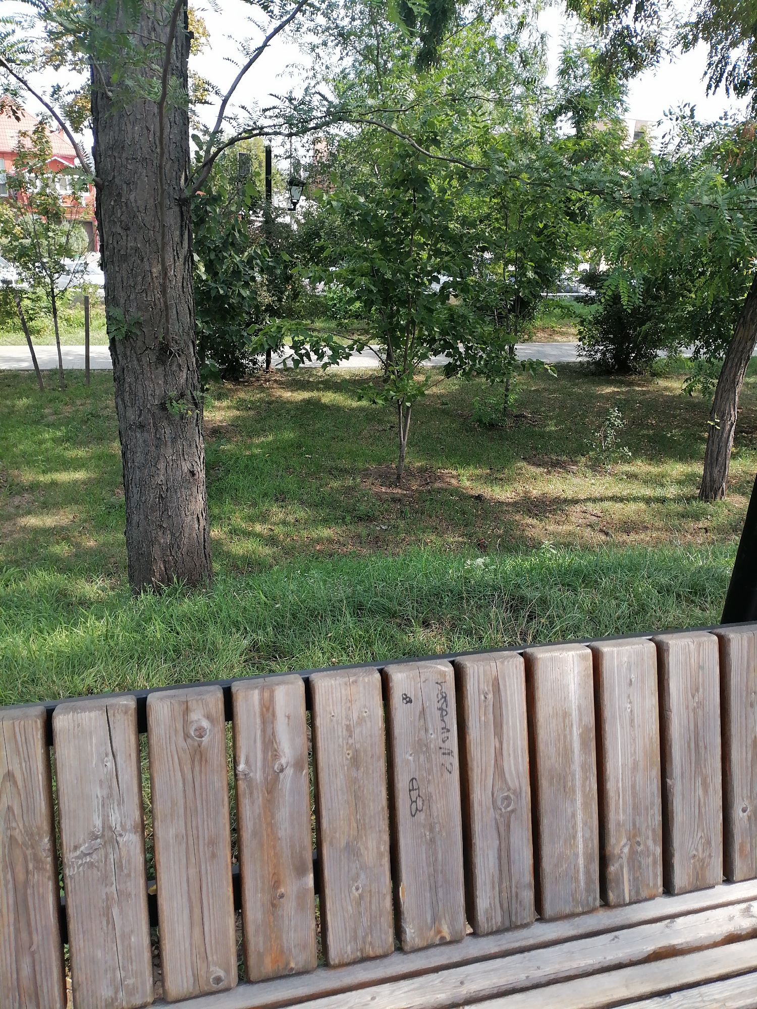 The image shows a park scene with a wooden bench in the foreground. Behind the bench is a grassy area with trees and foliage. In the background, there are buildings and a street. Some graffiti is visible on the wooden slats of the bench. The overall scene depicts a public outdoor space in a city.