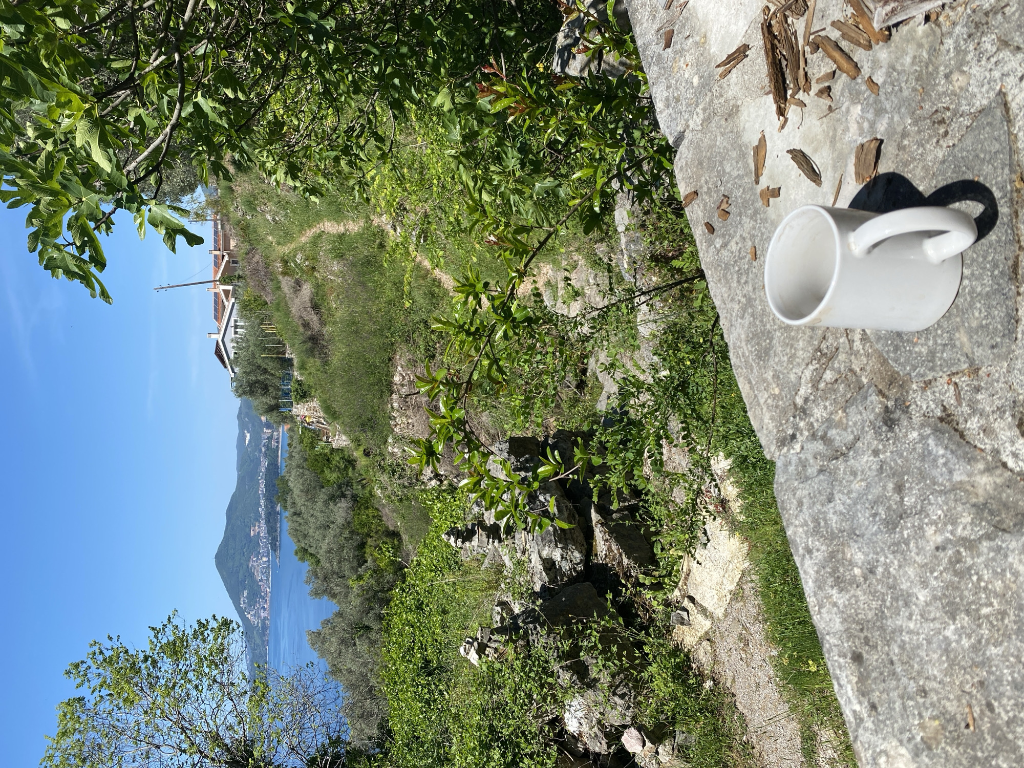 The image displays a sun-drenched, elevated landscape view, likely from a hillside path overlooking a coastal area in Budva, Montenegro. In the immediate foreground, a white ceramic mug rests on a rough grey stone surface, casting a distinct shadow that indicates bright midday or early afternoon sunlight. Scattered pieces of dried wood or bark lie near the mug.
The scene unfolds downwards and into the distance, revealing a winding, unpaved path bordered by lush, vibrant green vegetation, including various trees, bushes, and grass. Several stone structures, possibly ancient walls or terracing, are visible among the greenery. Further down the slope, a few houses with white facades and reddish roofs, some featuring solar panels, are nestled within the verdant landscape.
The background is dominated by a wide expanse of calm, deep blue water, typical of a sea or a large bay. Across the water, a large, green mountain rises majestically, its lower slopes adorned with a cluster of white and light-colored buildings, forming a picturesque coastal town. The sky above is a clear, brilliant blue, devoid of clouds, reinforcing the impression of a beautiful, sunny day. No visible text is present in the image.