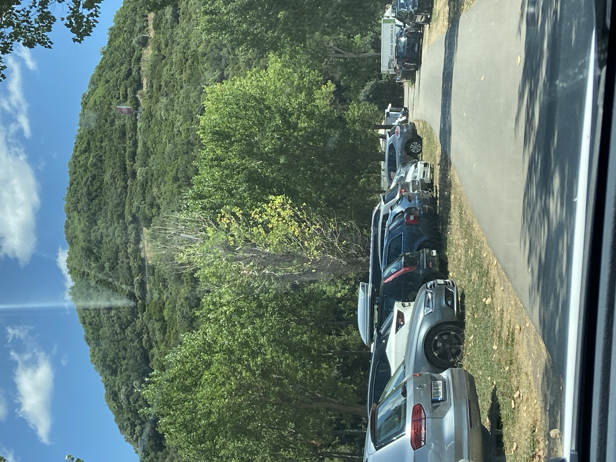 The image shows a parking lot filled with cars situated at the base of a lush, green, tree-covered mountain. The sky is bright blue with scattered white clouds. The parking lot appears to be a dirt and gravel surface with a paved asphalt road leading into it. Several cars are parked in rows on either side of the road, and some are also parked on the grassy area. The vehicles are of various makes and models, and include sedans, SUVs, and a white van with "NORSK OMBRUK AS" written on its side. In the foreground, the perspective is from inside a vehicle, looking out through the windshield, with the dashboard visible at the bottom. The overall scene suggests a sunny day in a natural setting, likely a recreational area given the presence of a parking lot at the foot of a mountain. The context provided identifies the location as Prijevor, Montenegro.