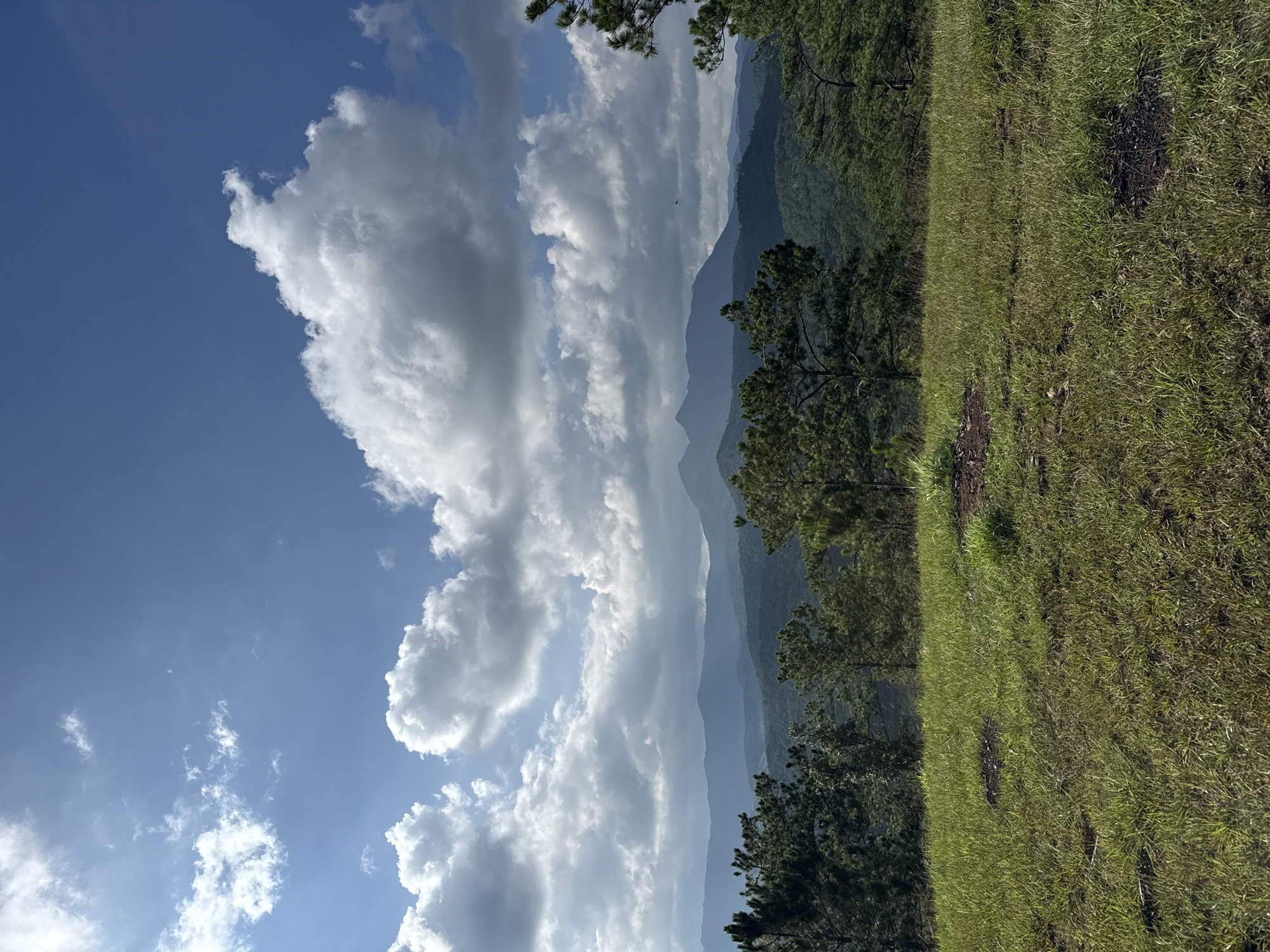 This image depicts a panoramic landscape identified as being in Lam Vien - Da Lat, Vietnam. The scene is dominated by a partly cloudy sky with a clear blue expanse. Large, white cumulus clouds, some illuminated by direct sunlight from the left, occupy the upper and middle sections of the frame. Below the clouds, a series of layered mountain ranges recede into the distance, appearing in muted blue-grey tones due to atmospheric perspective. In the mid-ground, a dense forest, primarily composed of evergreen trees with dark green foliage, covers the slopes of closer hills. In the foreground, a sunlit, undulating grassy field extends across the lower portion of the image, displaying varying shades of green and some drier, yellowish patches. Small, dark brown earth patches are visible within the grass. No people, animals, man-made structures, or active interactions are present in the frame. The lighting suggests a bright daytime setting.