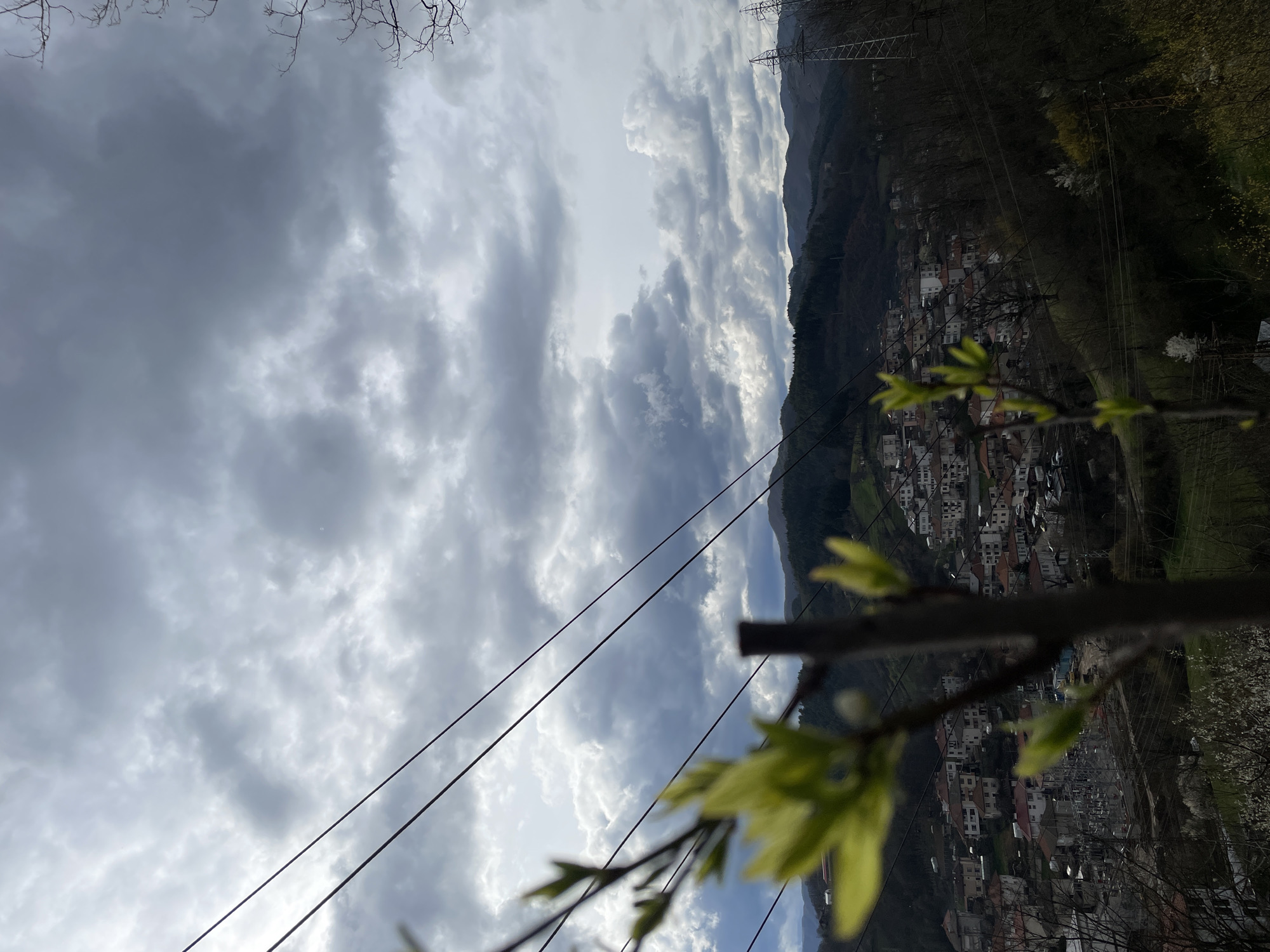 The image shows a view overlooking Zlatograd, Bulgaria, under a sky filled with striated gray and white clouds. A mountain range forms the backdrop to the town, with its lower slopes covered in dense, dark green vegetation and possibly a forest. Utility poles and lines are visible in the foreground, intersecting the scene diagonally. A tree branch with young, pale green leaves is situated in the lower right corner, partially obscuring the view. The town itself appears nestled in a valley, comprised of houses with red-tiled roofs. The focus is not sharp, making details about specific buildings difficult to ascertain, but a dense residential area is apparent. The lighting suggests an overcast day, and the scene is viewed from an elevated position within or on the outskirts of Zlatograd.