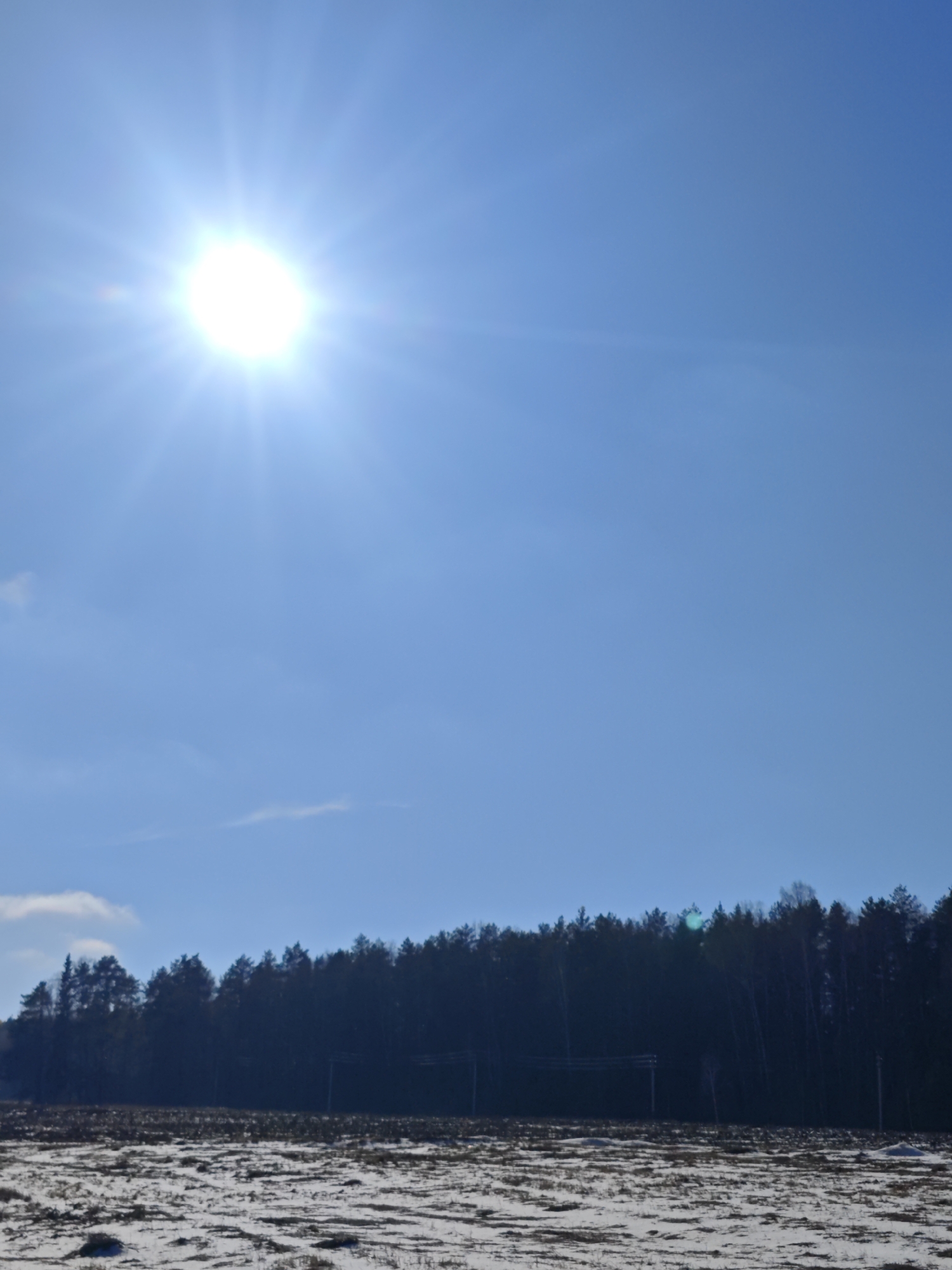 The image shows a winter scene in Прикамский, Russia. The sky is a clear, bright blue with the sun prominently visible. The ground is covered in a patchy layer of snow. In the distance, a line of dark trees forms the horizon. Power lines are visible in front of the trees. The sky is cloudless except for a small, indistinct cloud near the lower left.